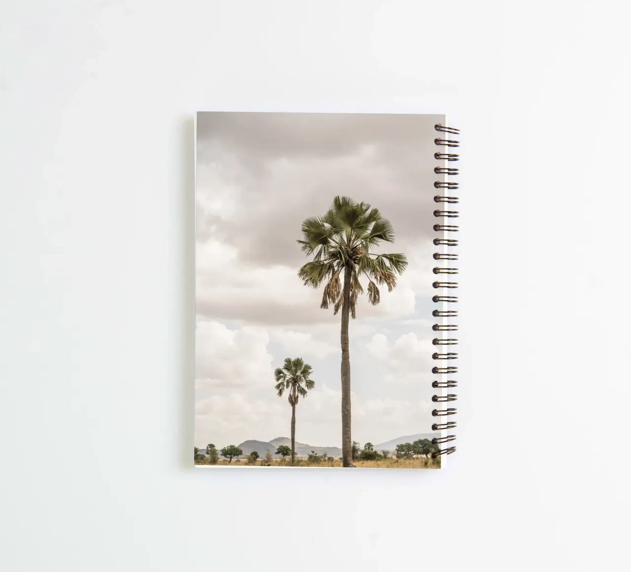 Palm trees in a park in Uganda diario ad anelli da photolovers