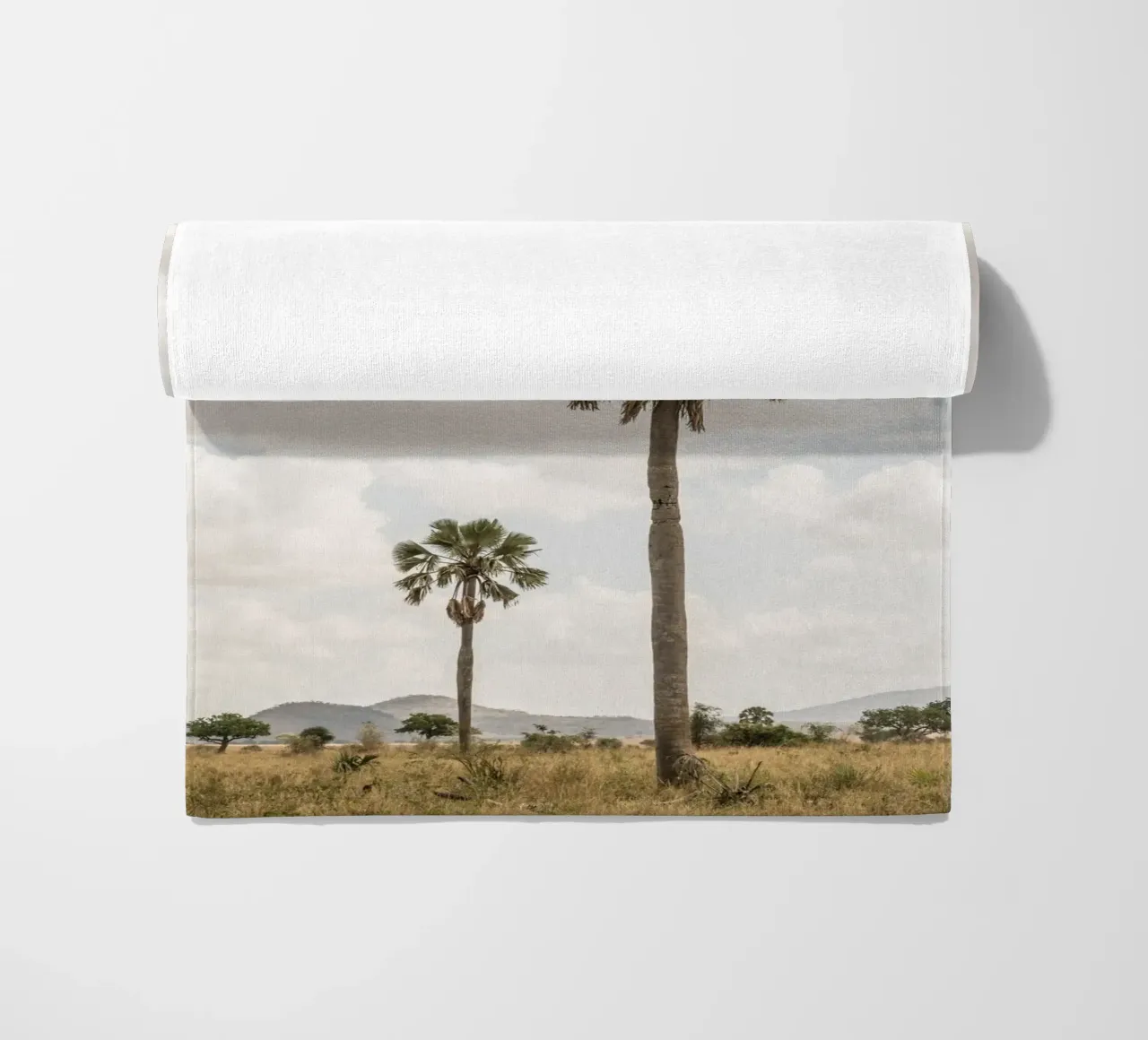 Palm trees in a park in Uganda telo mare da photolovers