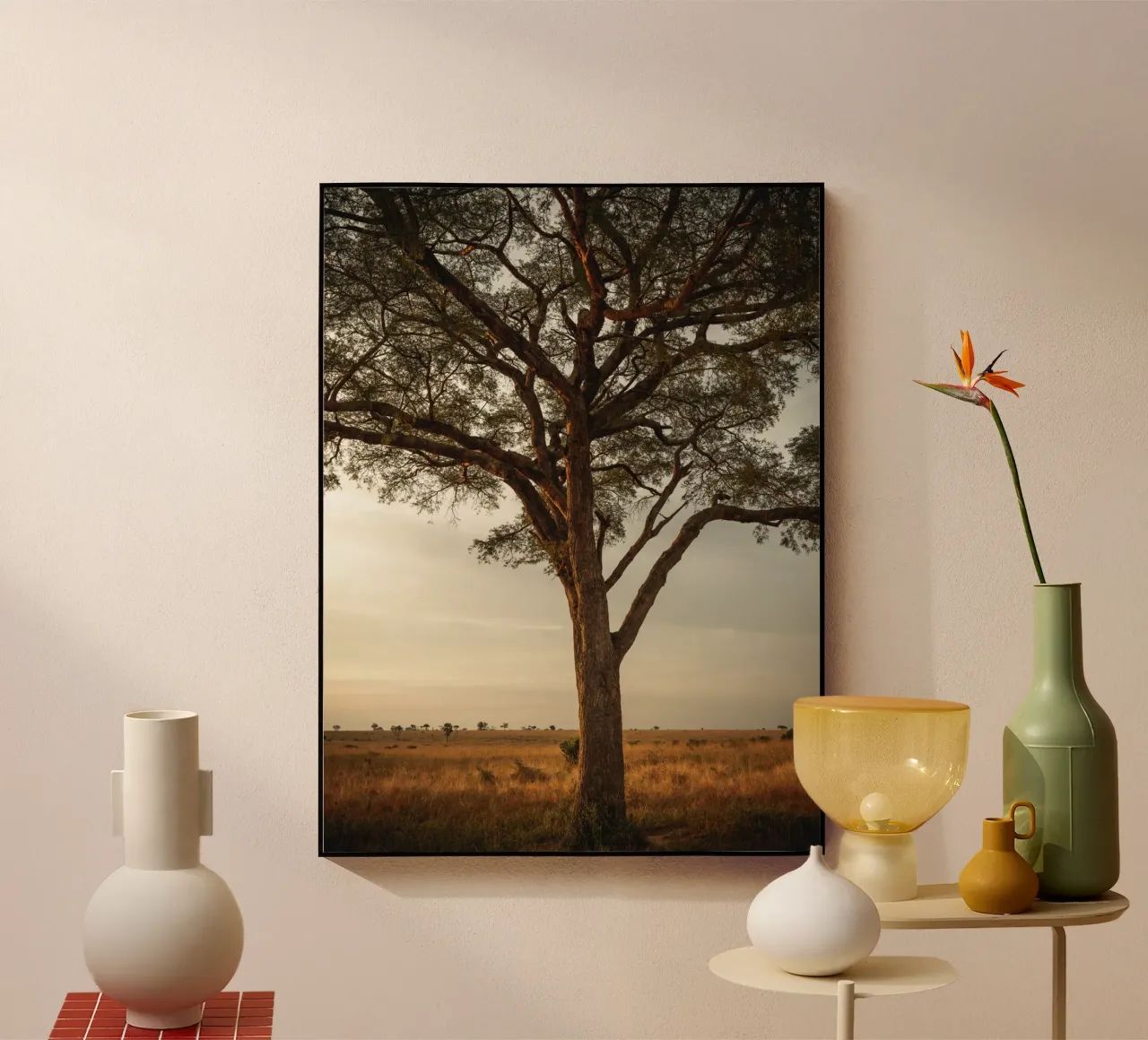 African sunset plexiglass da photolovers