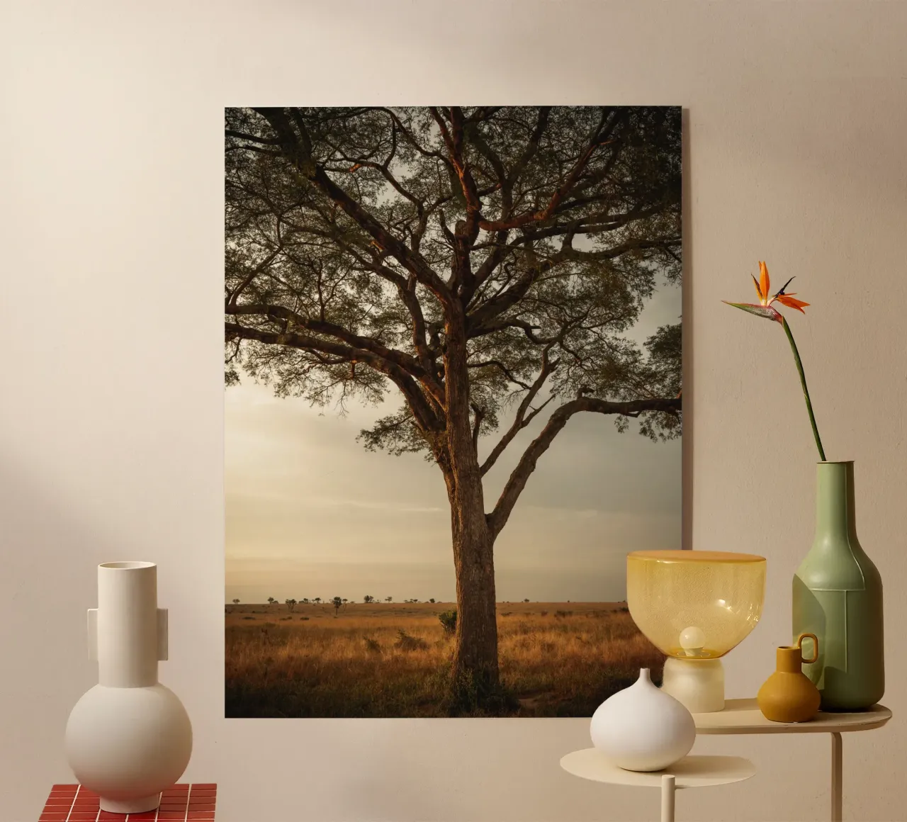 African sunset plexiglass da photolovers