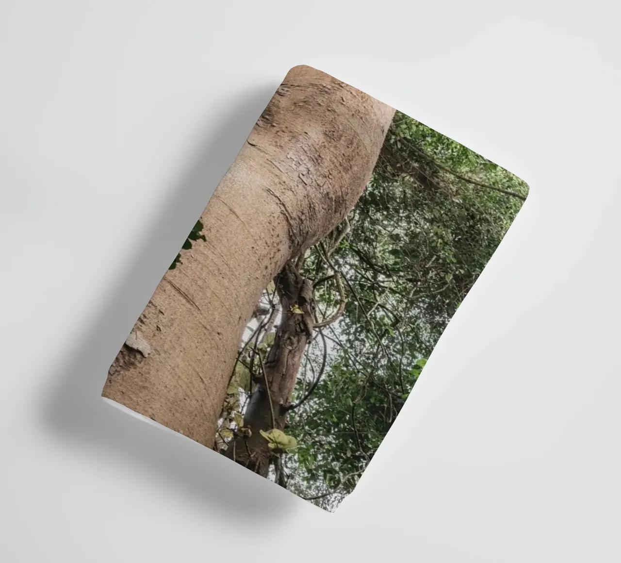 Giant tree in Uganda asciugamano da bagno da photolovers