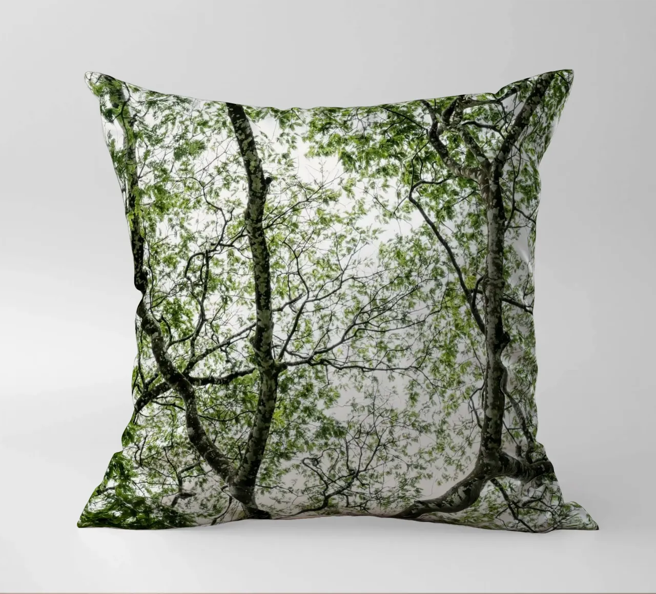 Budongo forest cuscino da photolovers