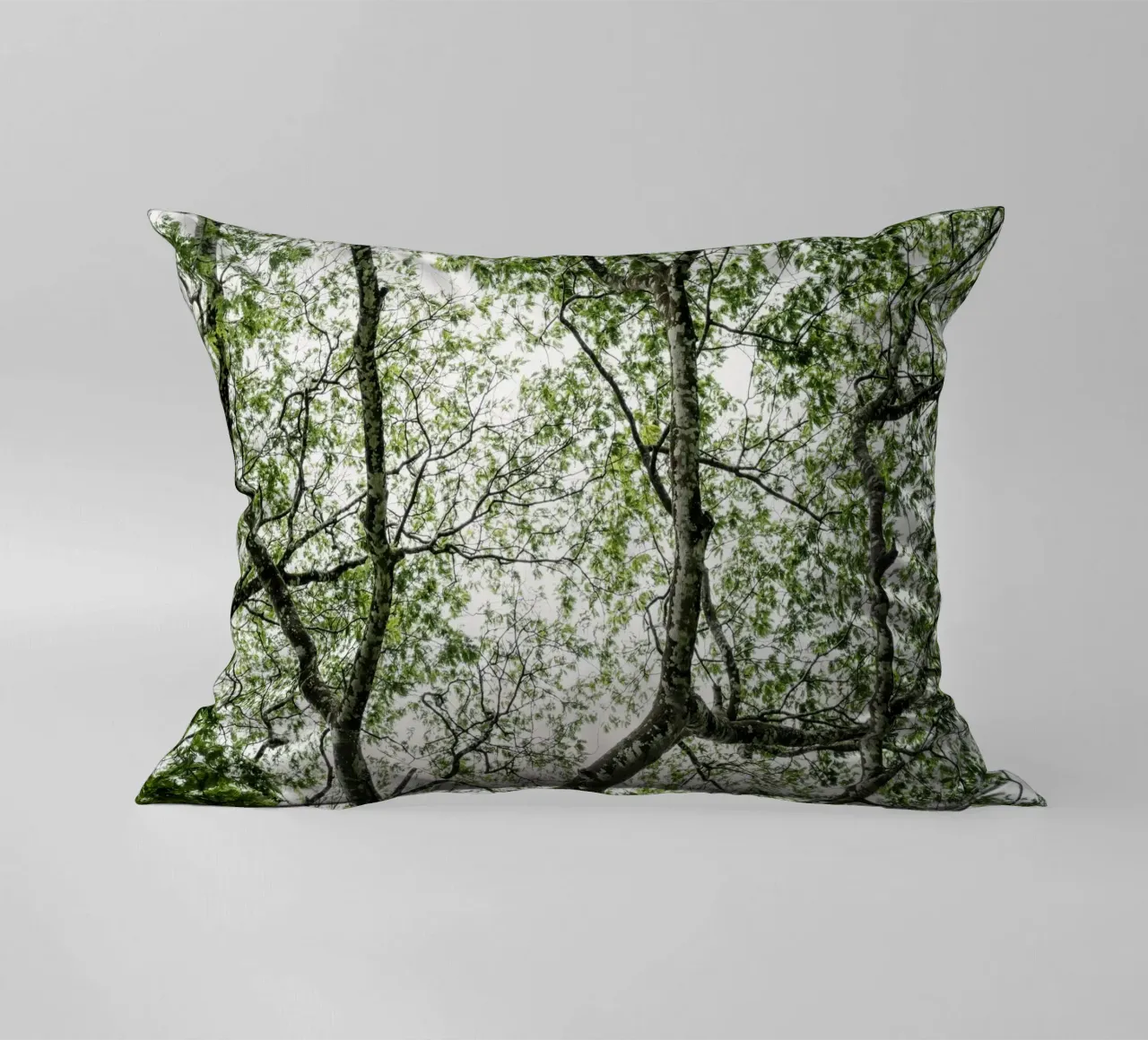 Budongo forest cuscino da photolovers