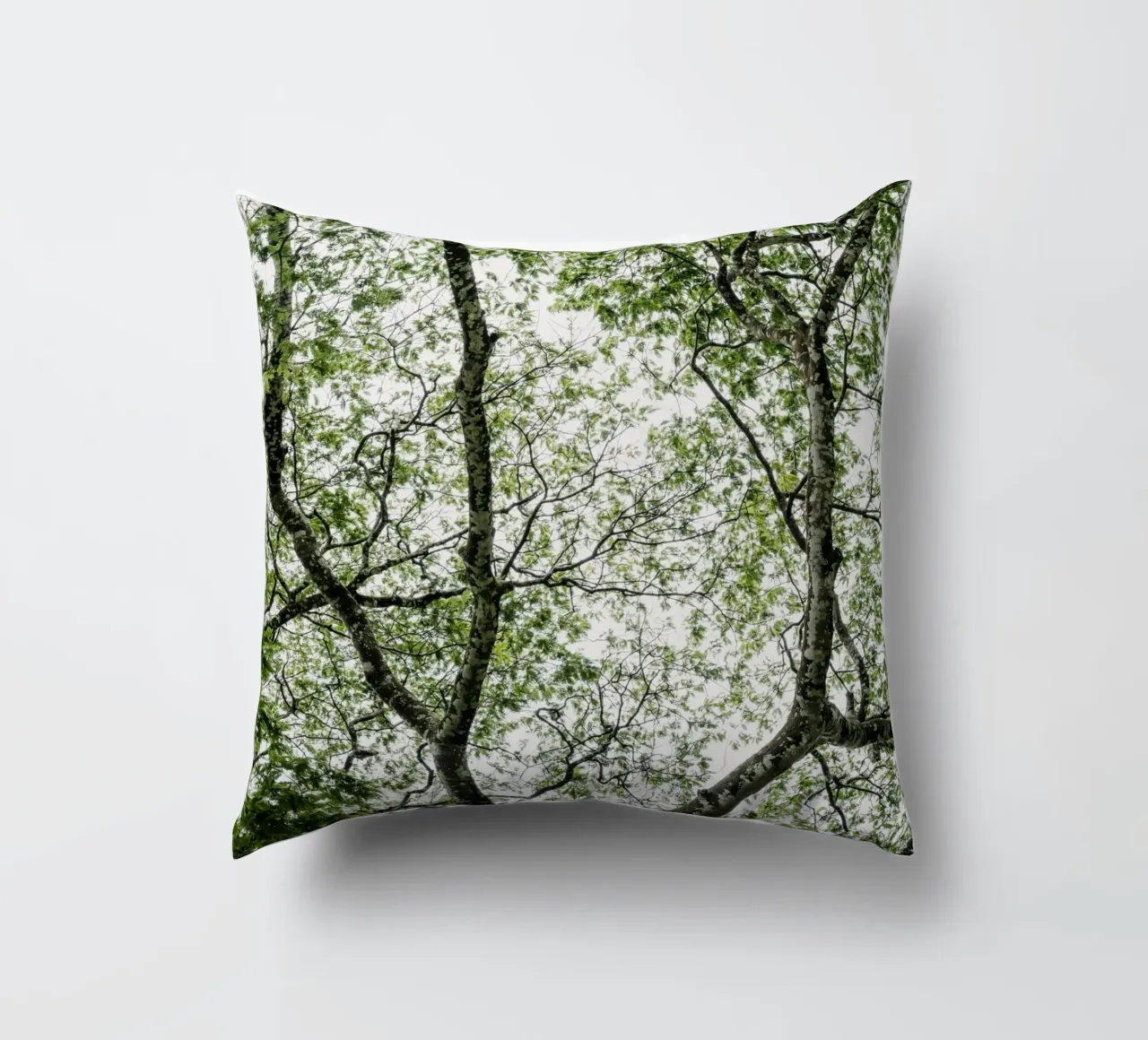 Budongo forest cuscino da photolovers
