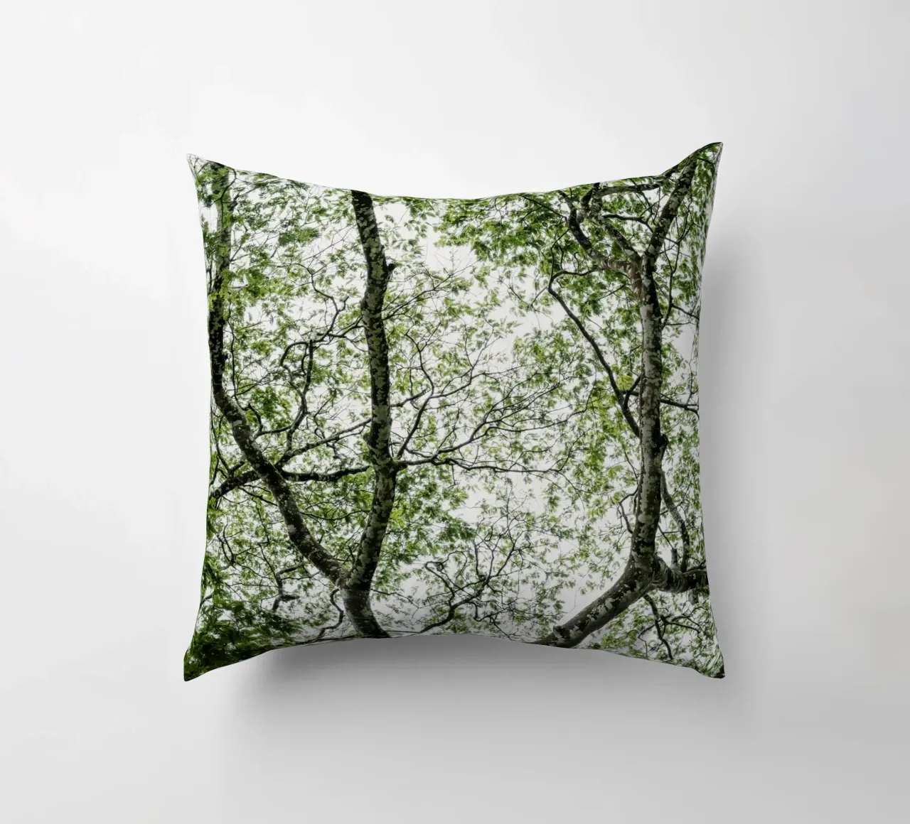 Budongo forest cuscino da photolovers