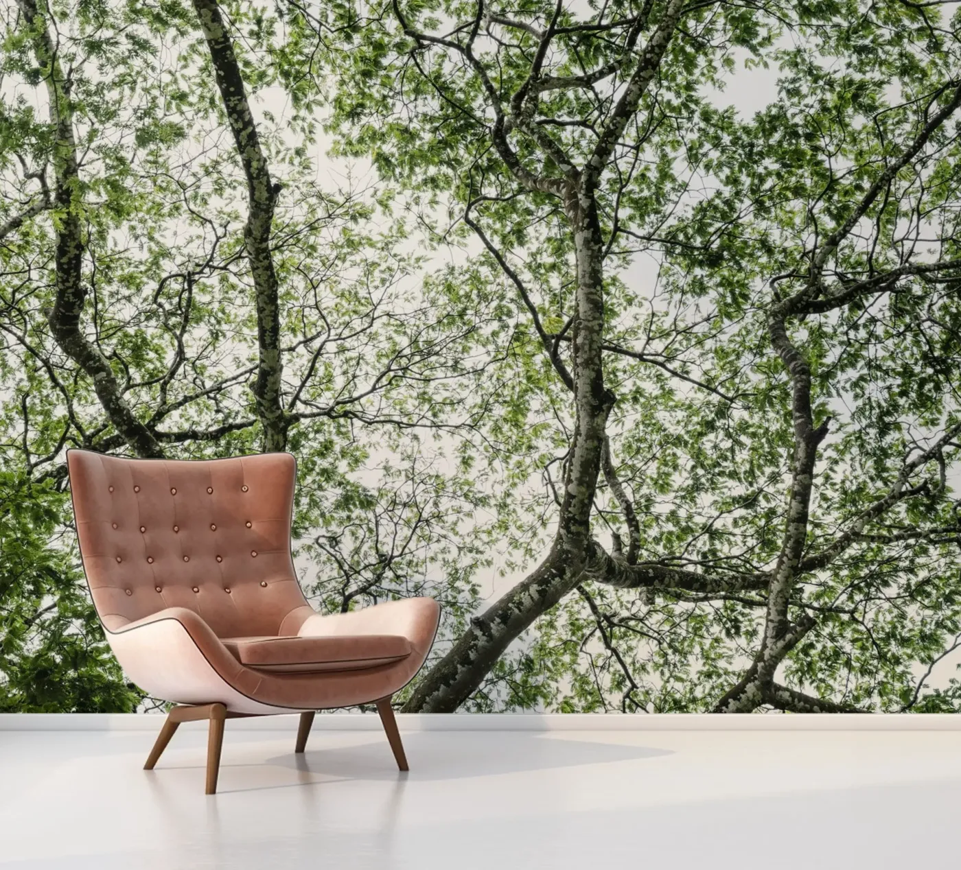 Budongo forest fotobehang van photolovers