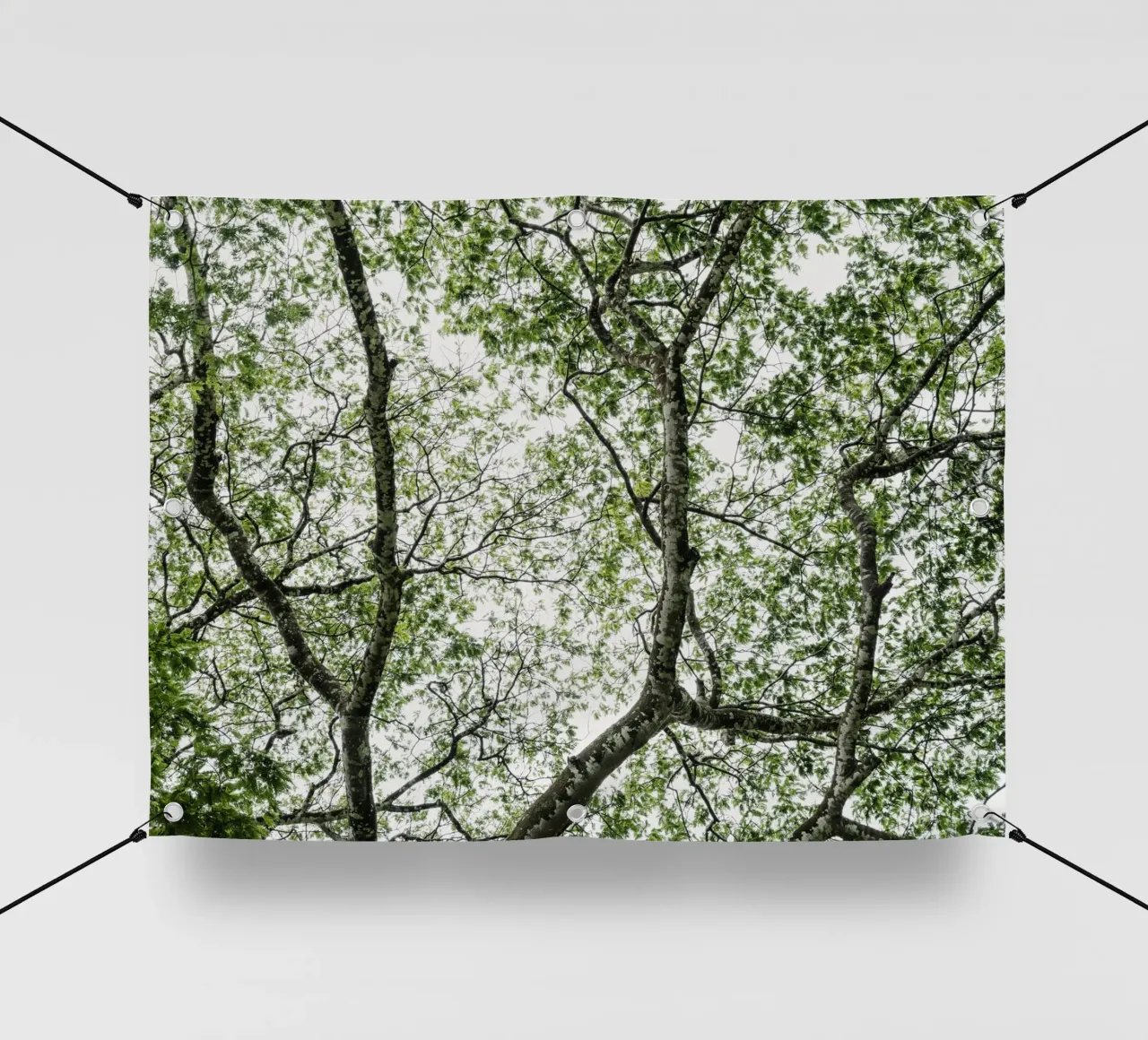 Budongo forest telo in pvc da photolovers