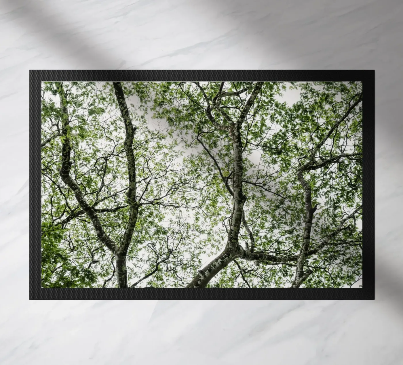 Budongo forest Fußmatte von photolovers