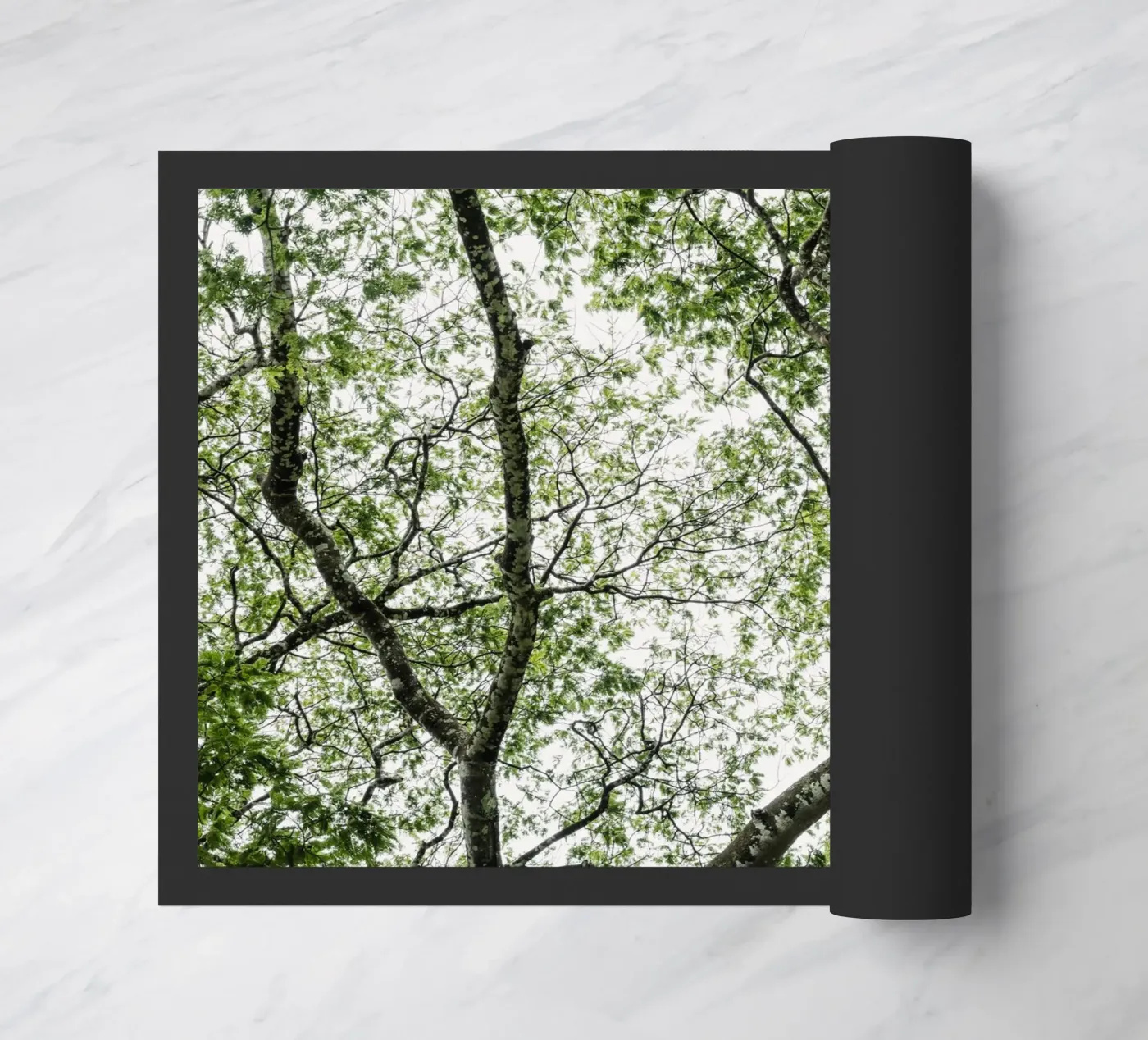 Budongo forest doormat by photolovers