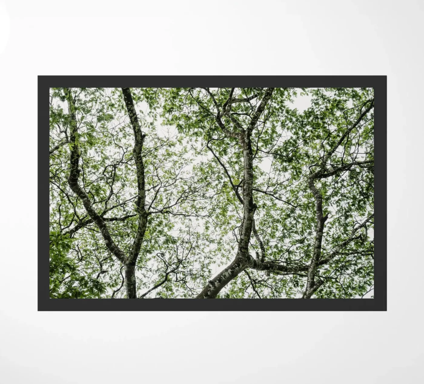 Budongo forest doormat by photolovers