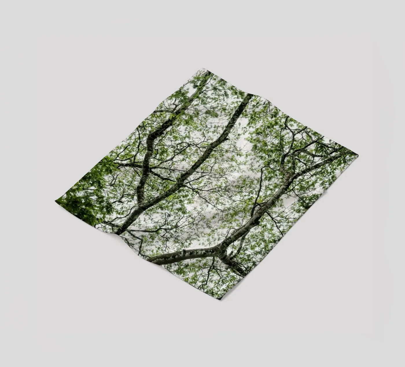 Budongo forest fleecedeken van photolovers