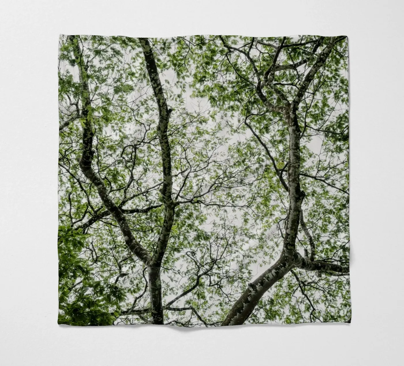 Budongo forest fleecedeken van photolovers
