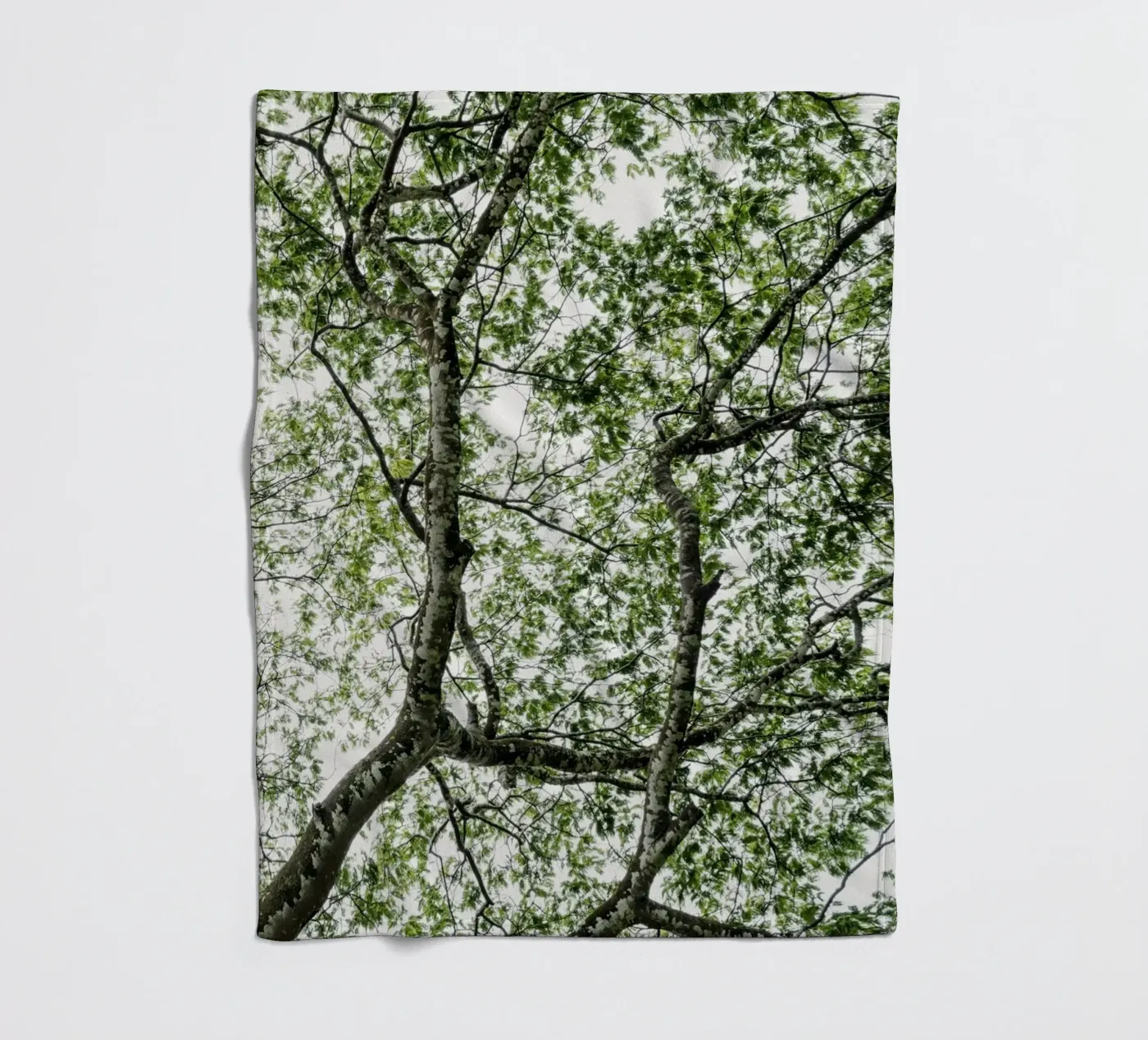 Budongo forest fleecedeken van photolovers