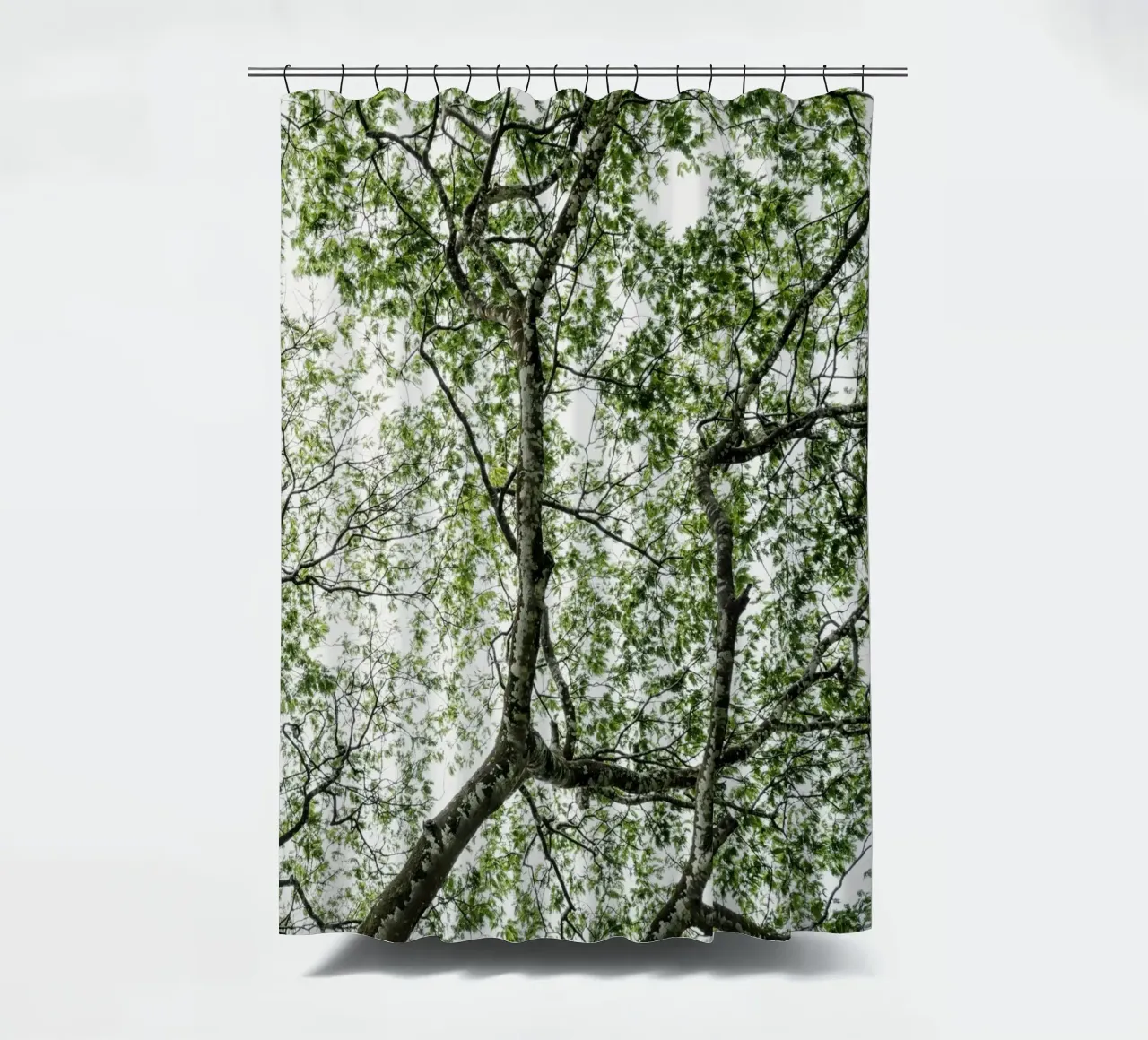 Budongo forest tenda da doccia da photolovers