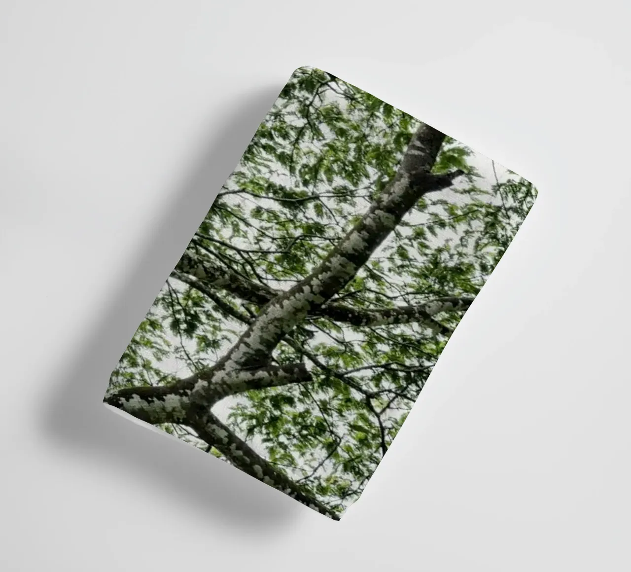 Budongo forest asciugamano da bagno da photolovers