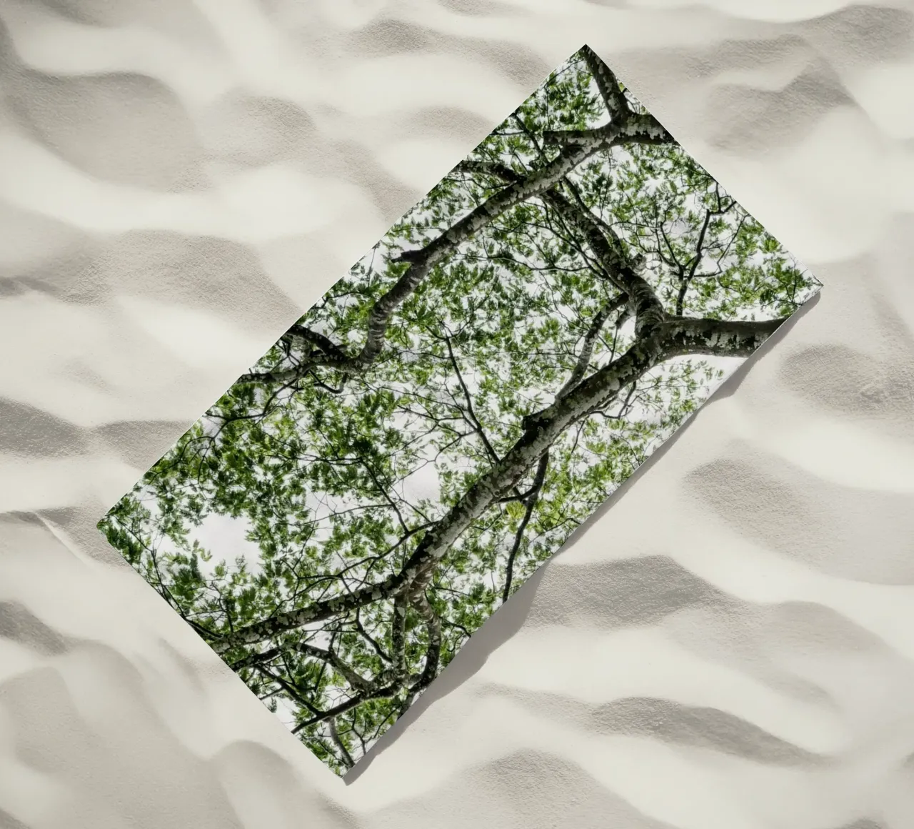 Budongo forest telo mare da photolovers