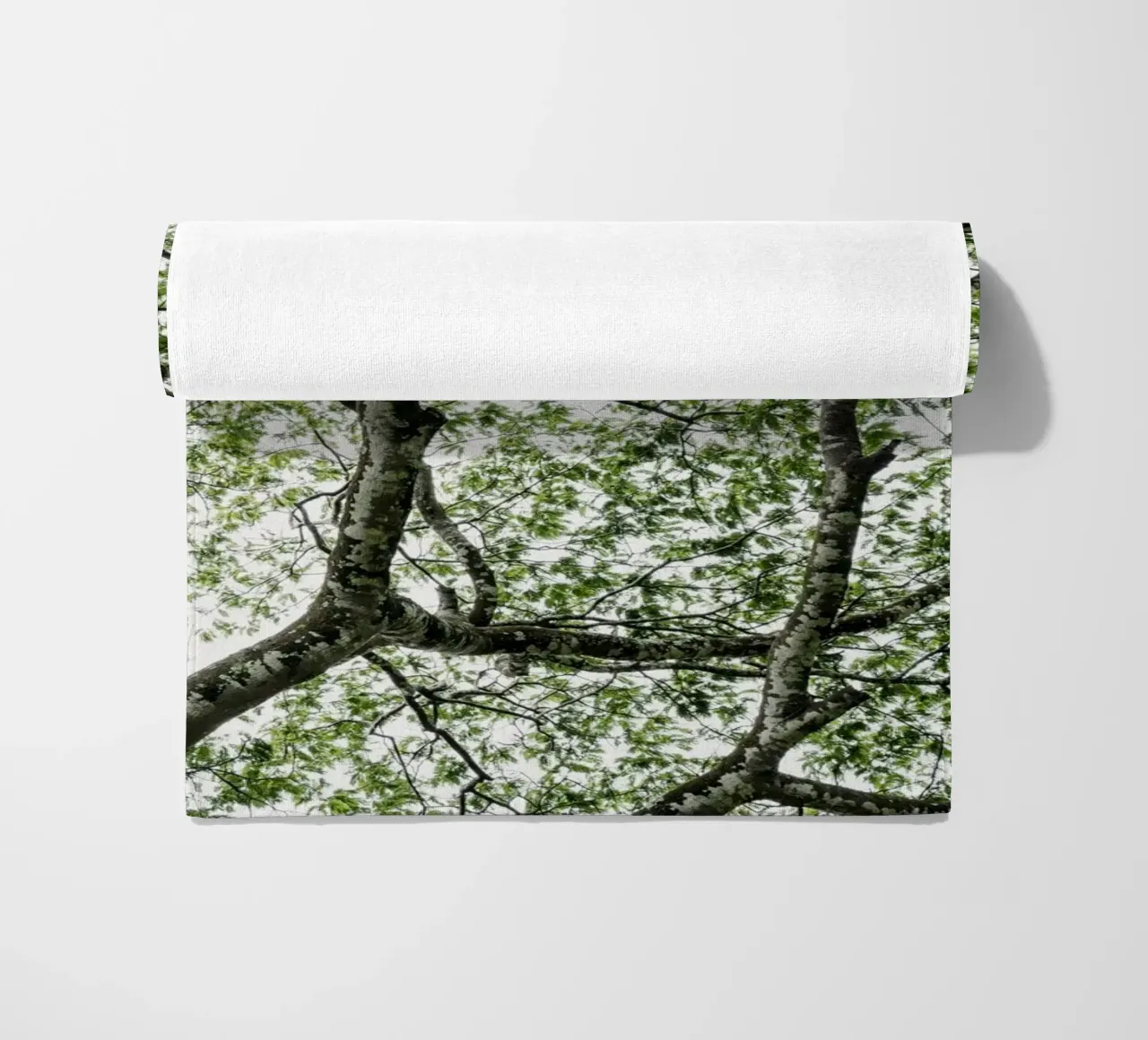 Budongo forest telo mare da photolovers