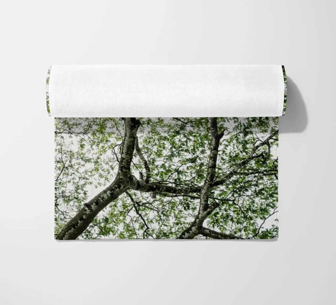 Budongo forest telo mare da photolovers