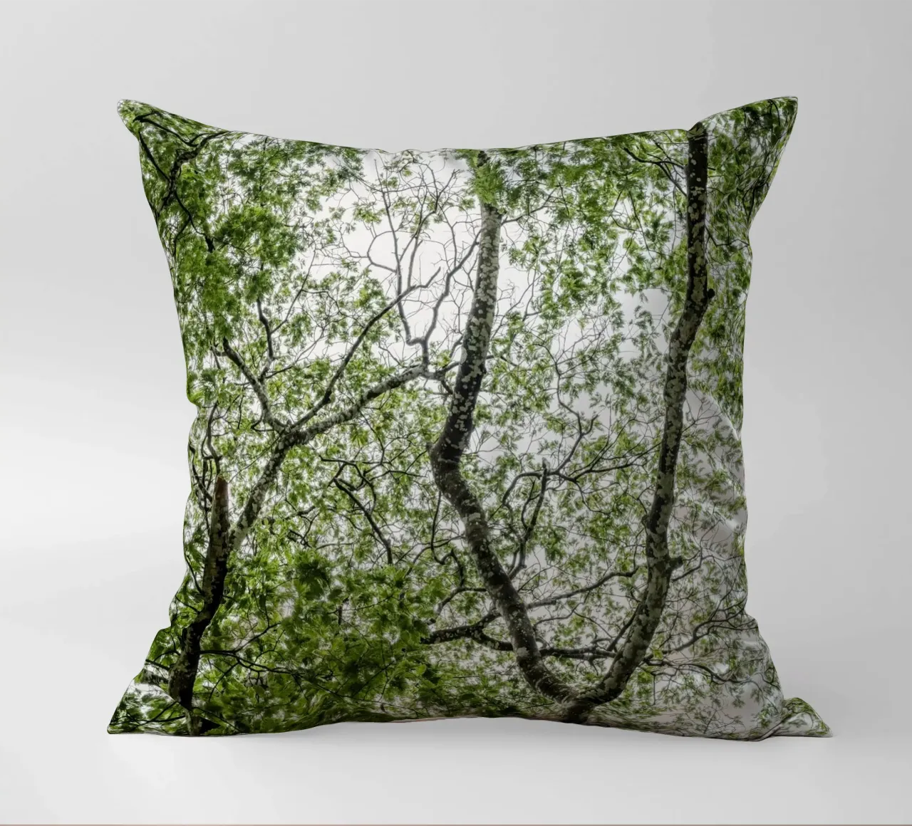 Tree in a forest cuscino da photolovers