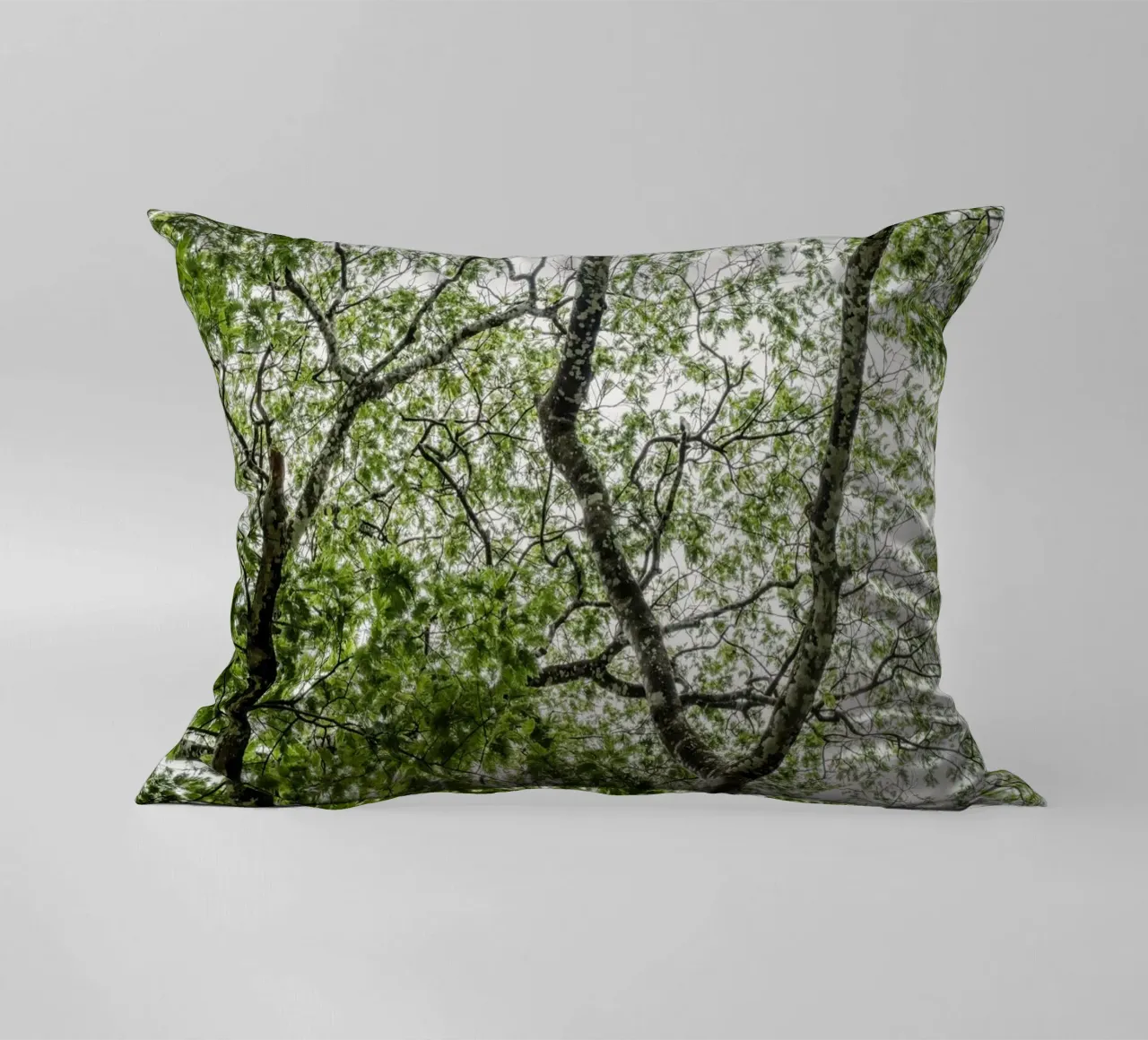 Tree in a forest cuscino da photolovers