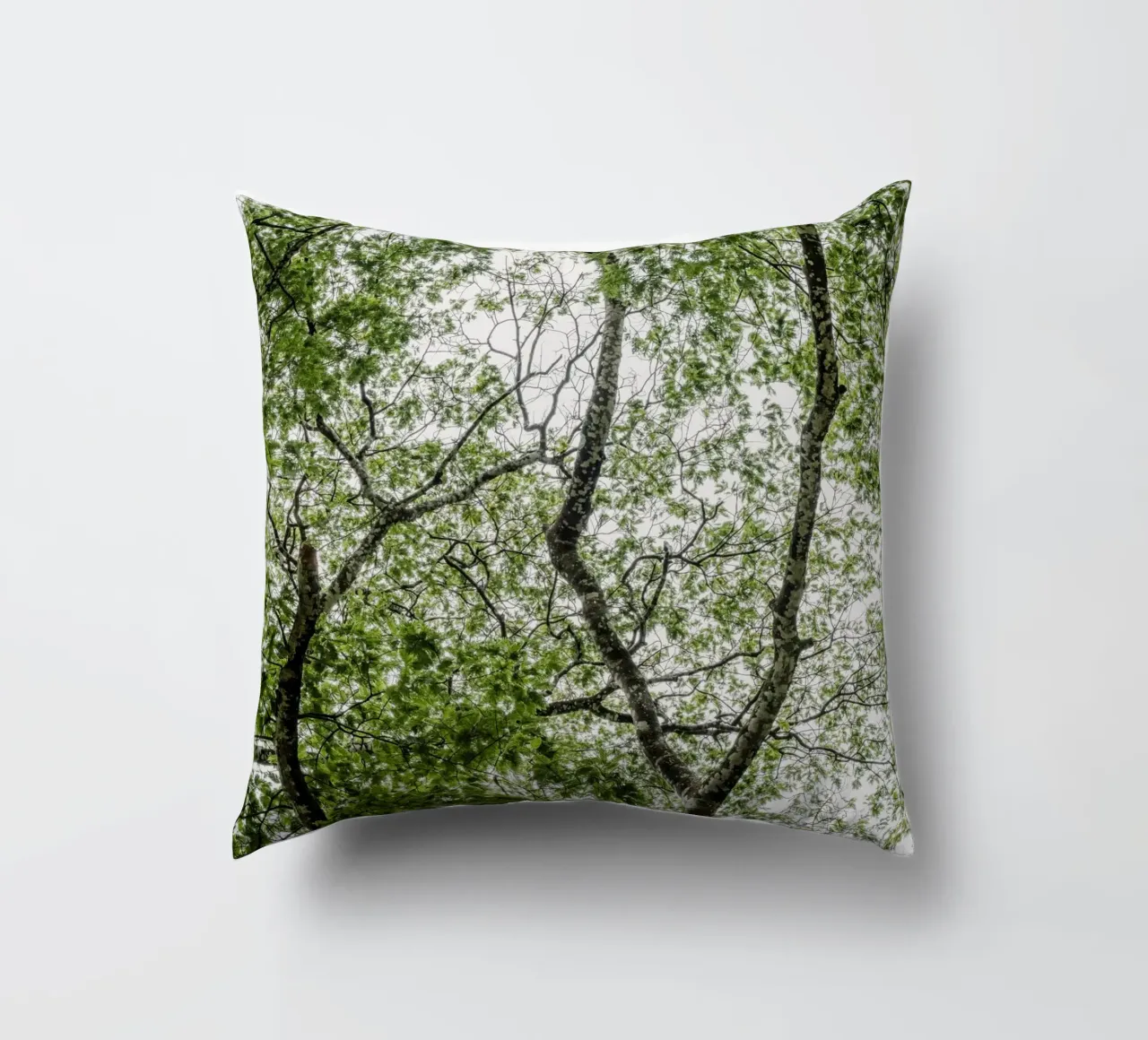 Tree in a forest cuscino da photolovers