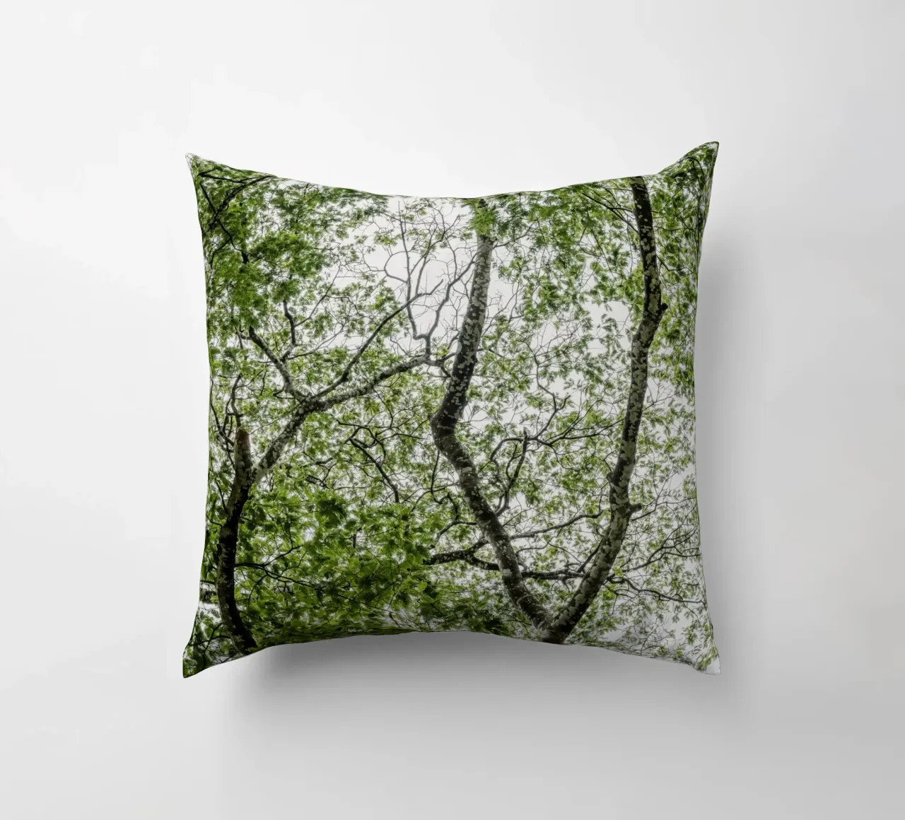 Tree in a forest cuscino da photolovers