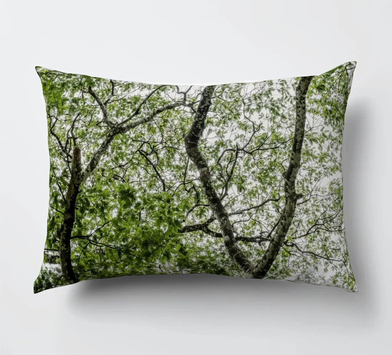 Tree in a forest cuscino da photolovers