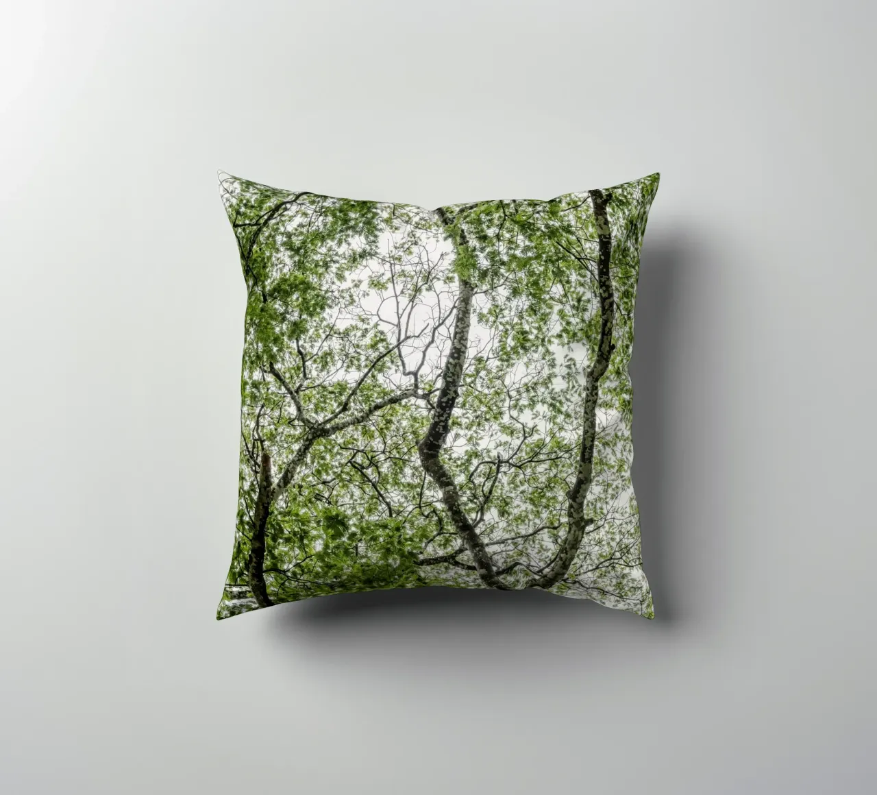 Tree in a forest cuscino da photolovers