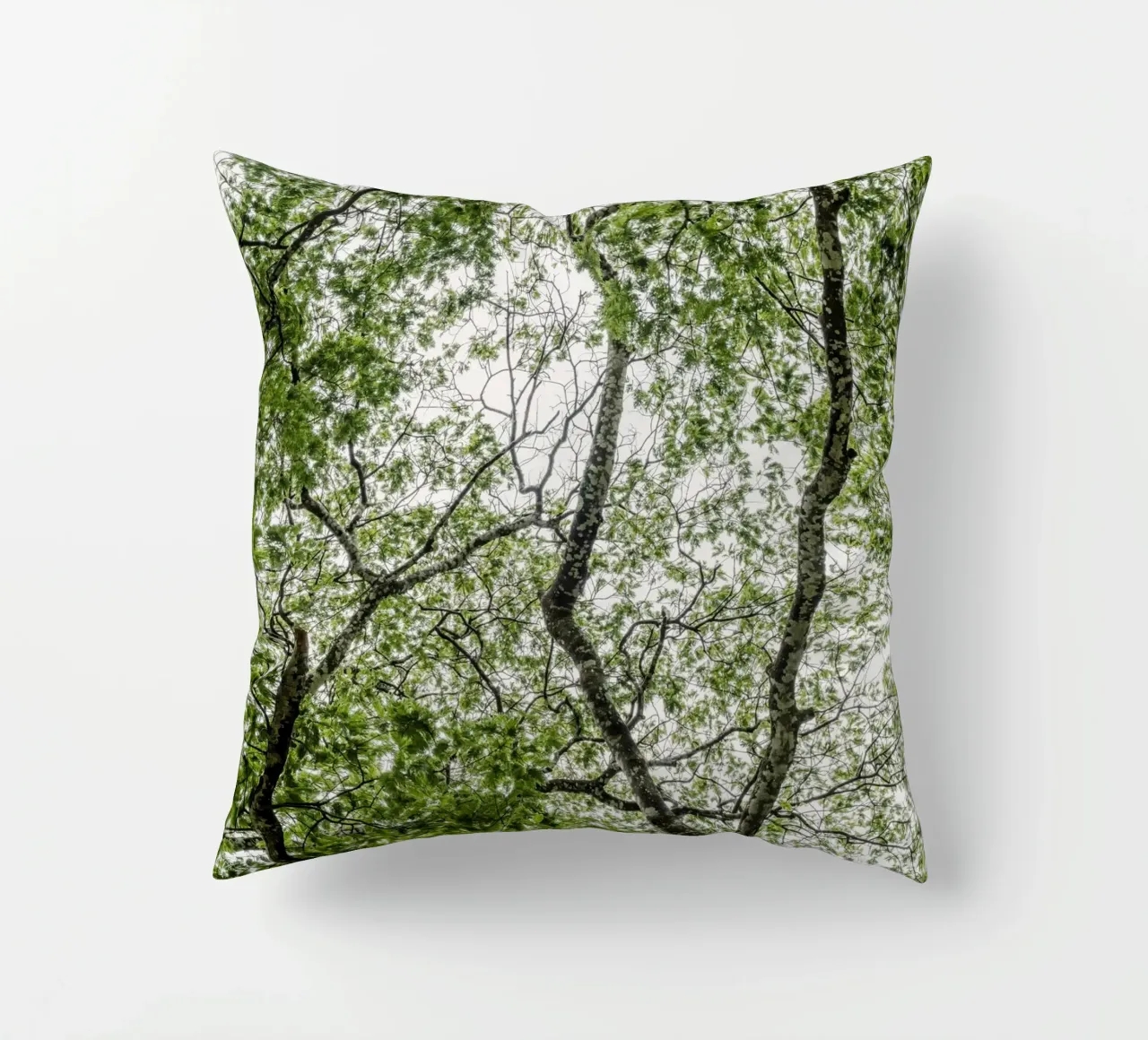 Tree in a forest cuscino da photolovers