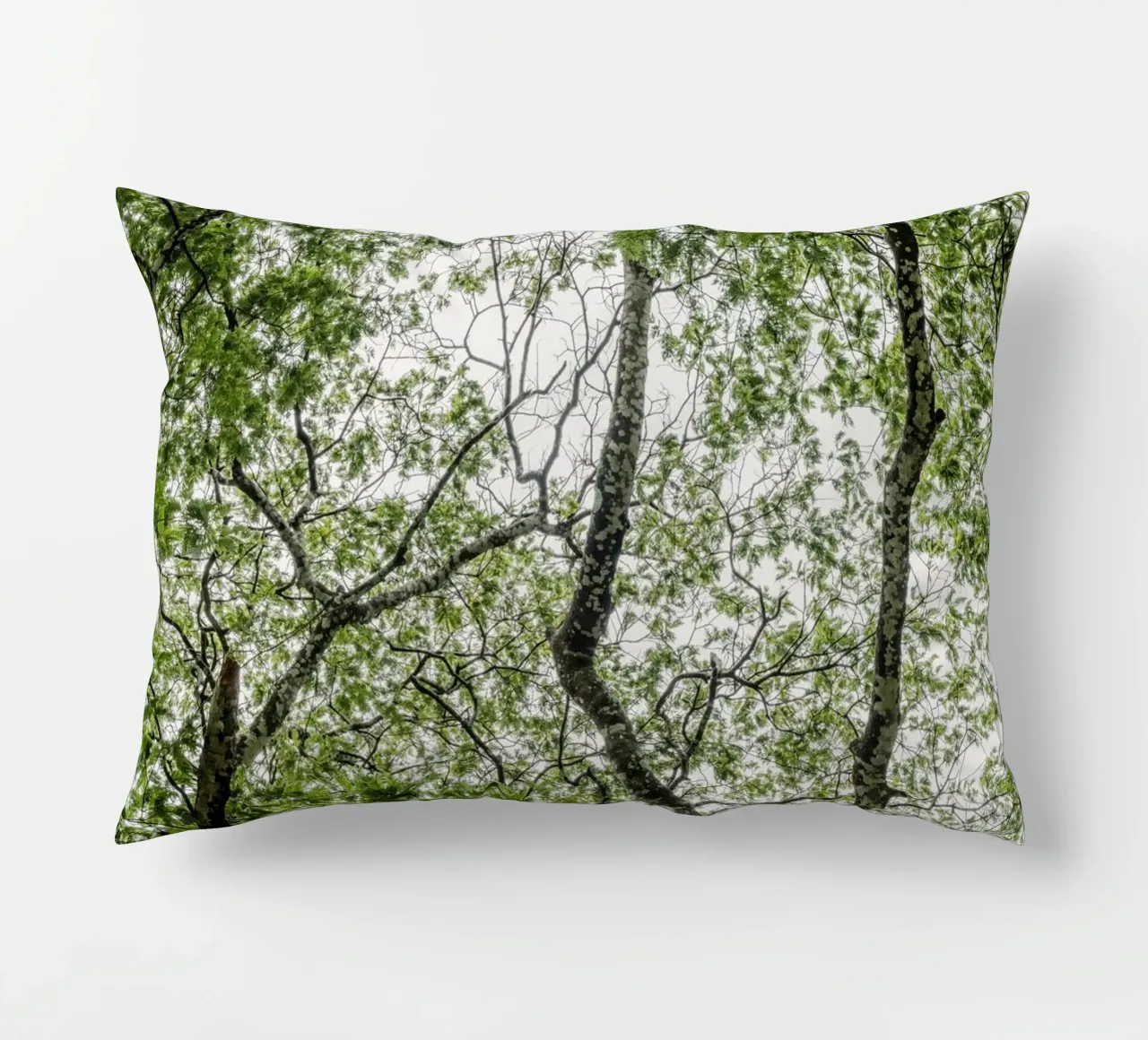 Tree in a forest cuscino da photolovers