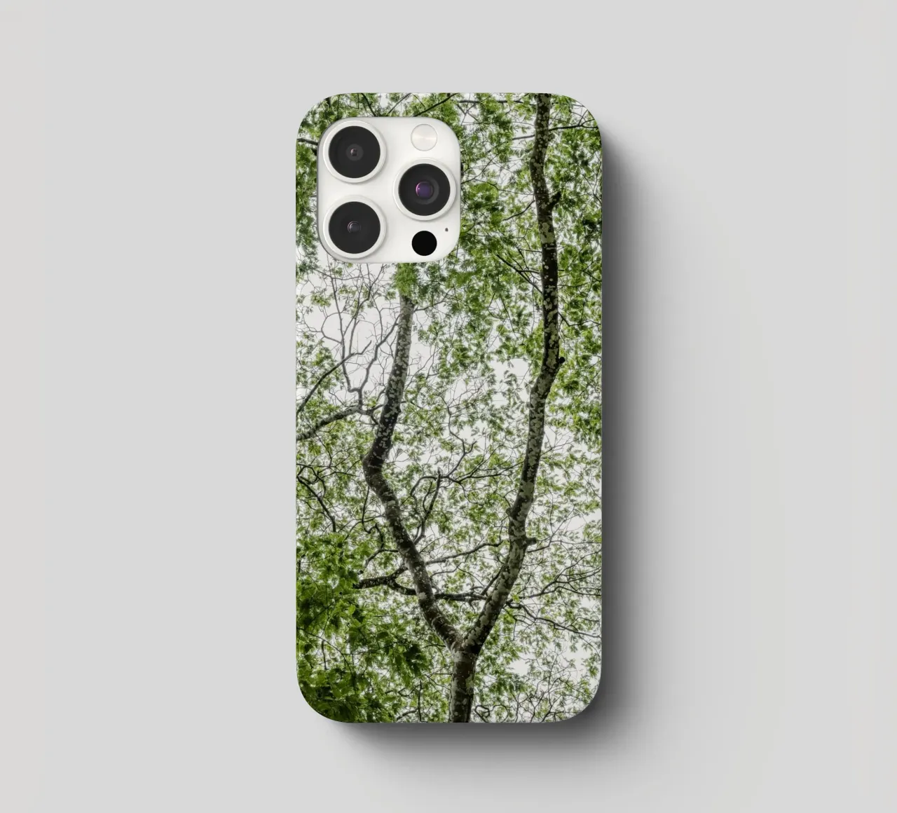 Tree in a forest cover iphone da photolovers