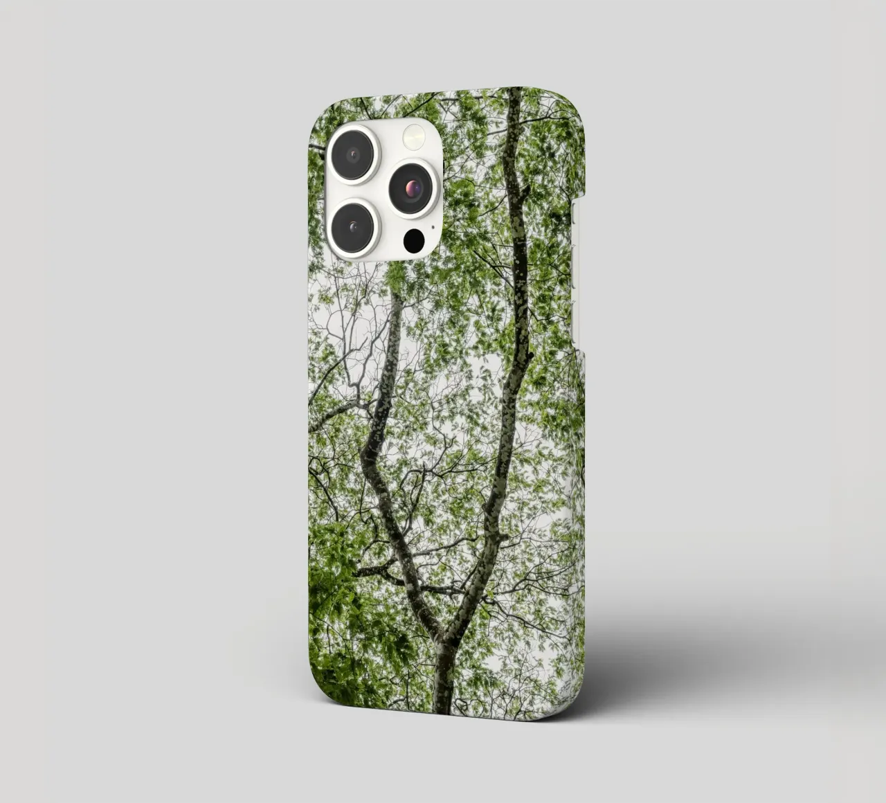 Tree in a forest cover iphone da photolovers