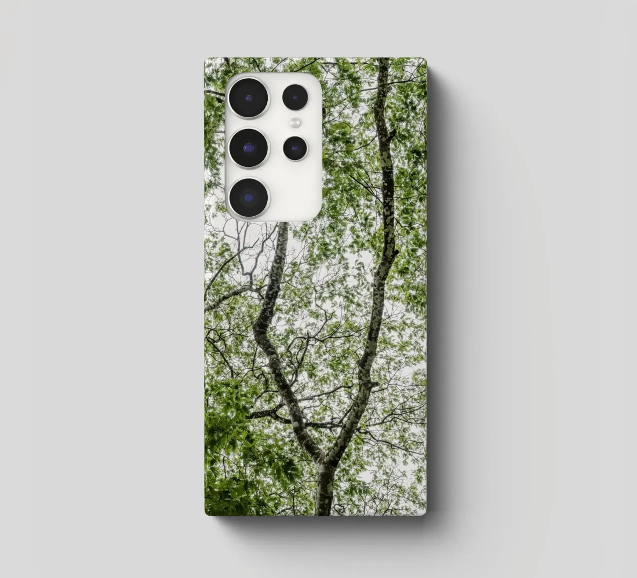 Tree in a forest cover samsung da photolovers