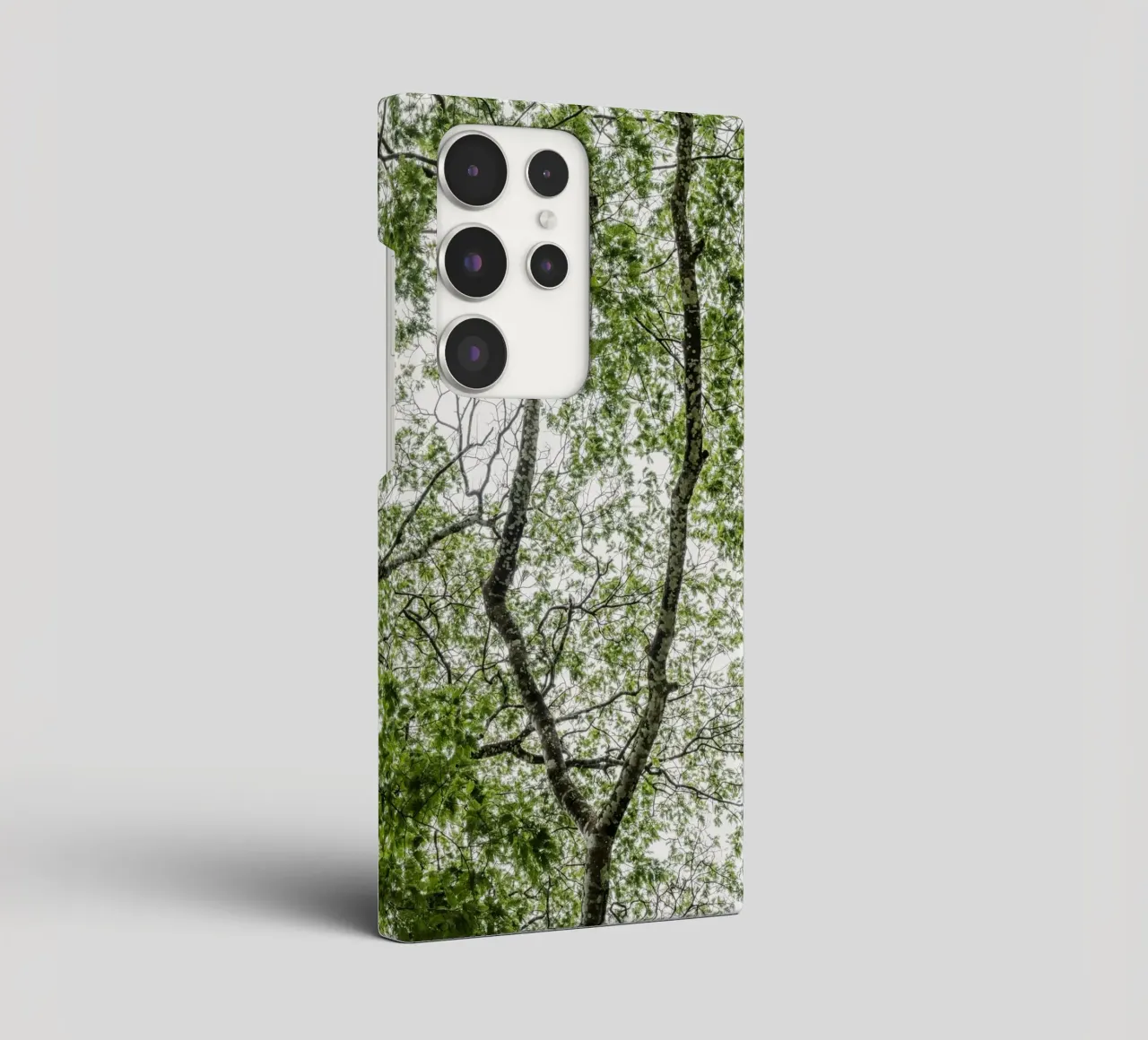 Tree in a forest cover samsung da photolovers