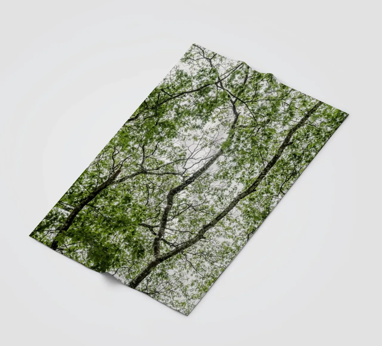 Tree in a forest coperta in pile da photolovers