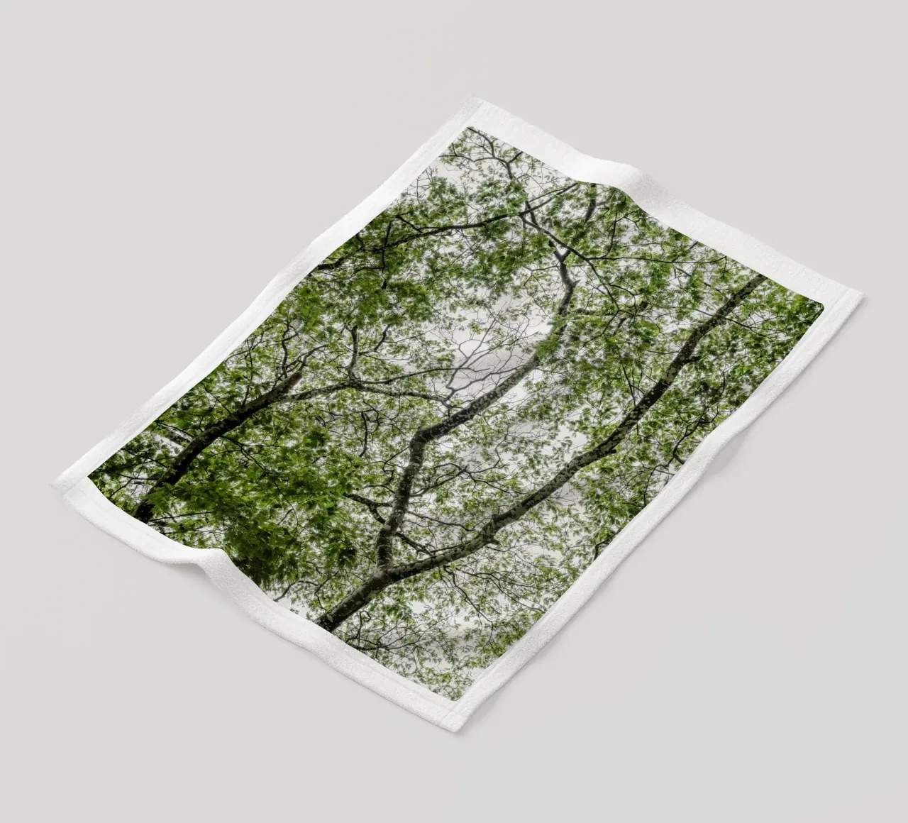 Tree in a forest coperta in pile da photolovers