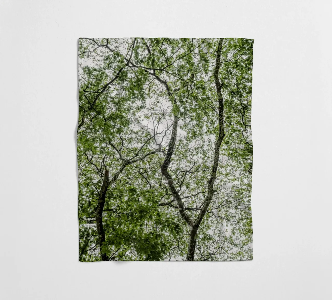 Tree in a forest coperta in pile da photolovers