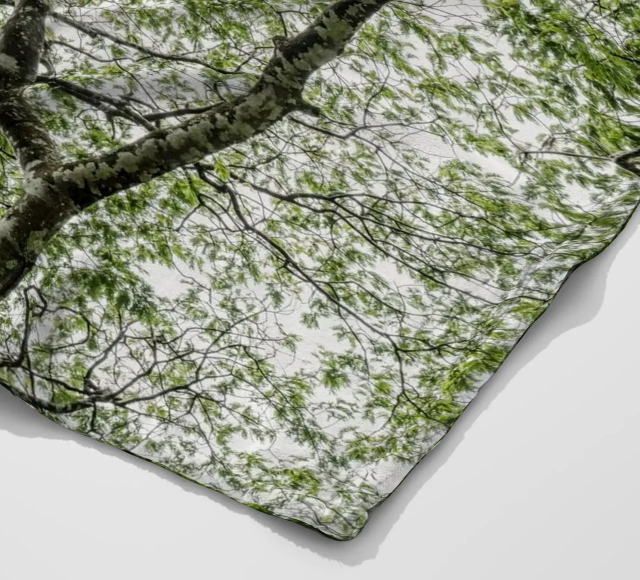 Tree in a forest coperta in pile da photolovers