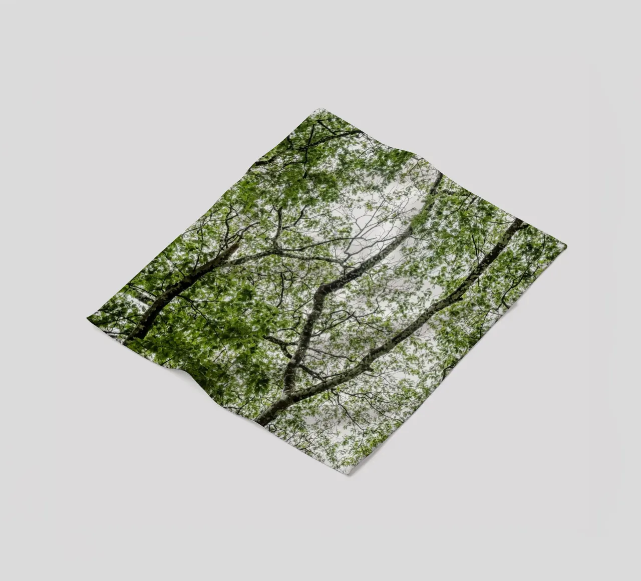 Tree in a forest coperta in pile da photolovers