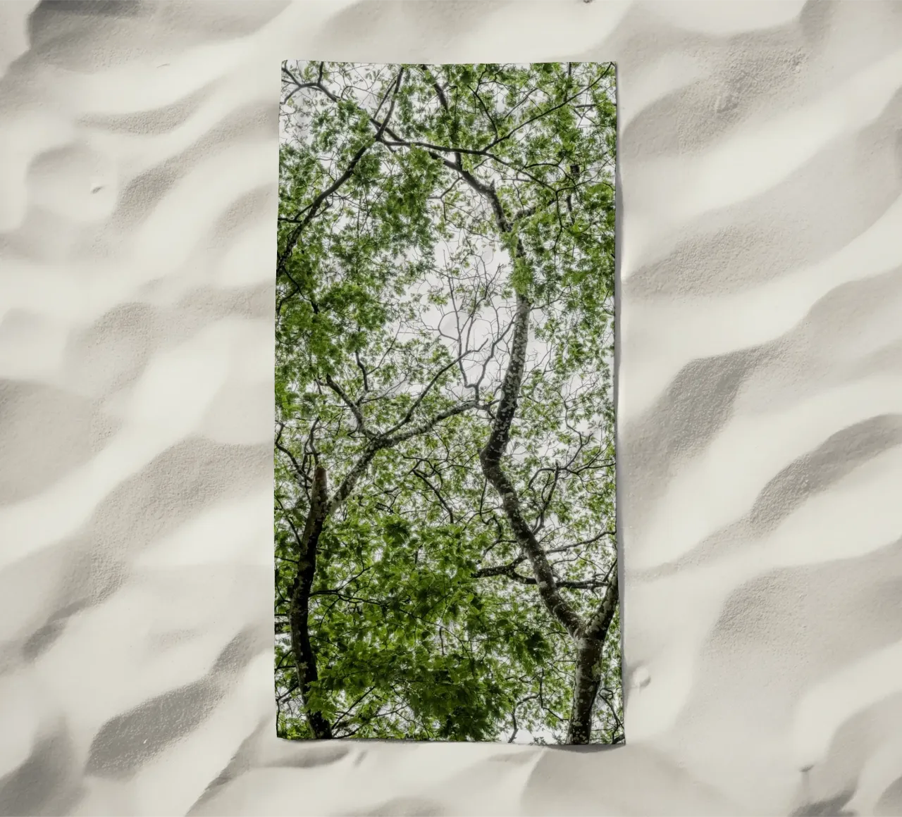 Tree in a forest telo mare da photolovers
