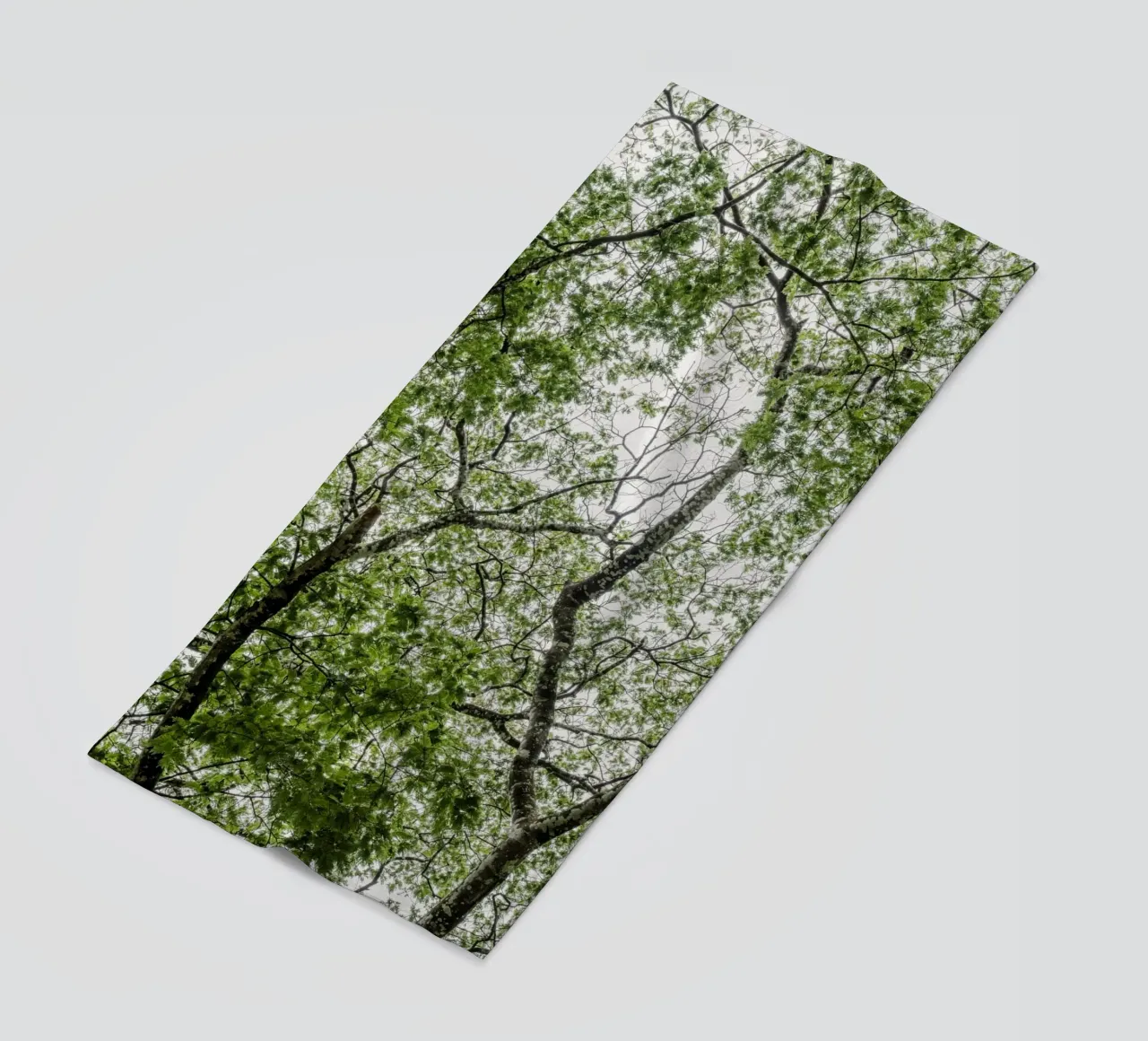 Tree in a forest telo mare da photolovers