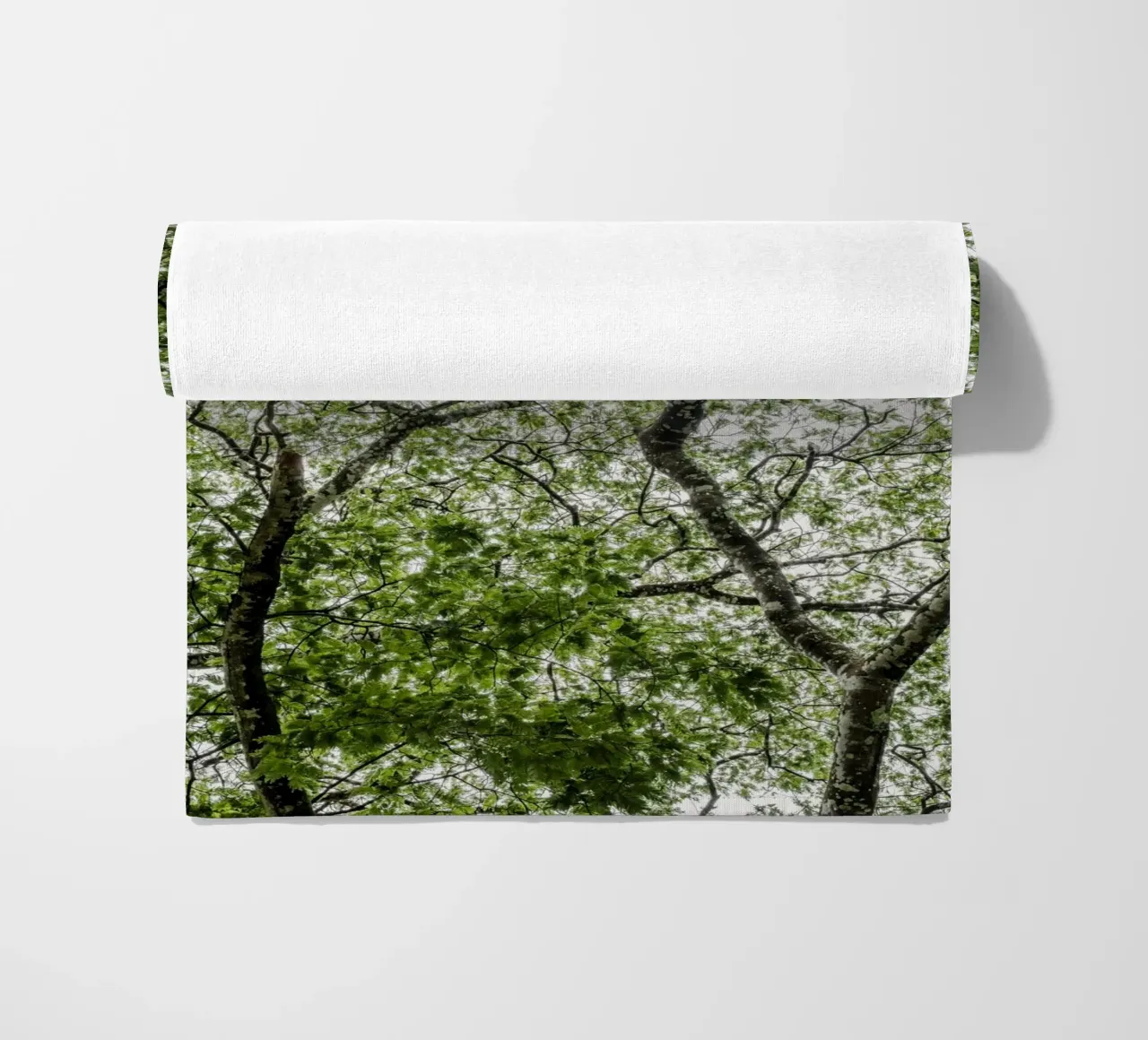 Tree in a forest telo mare da photolovers