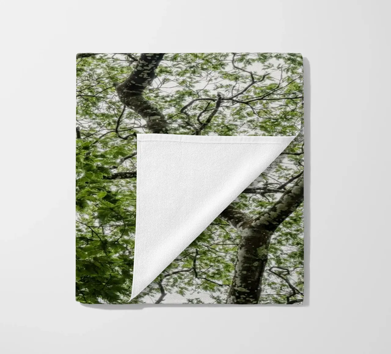 Tree in a forest telo mare da photolovers