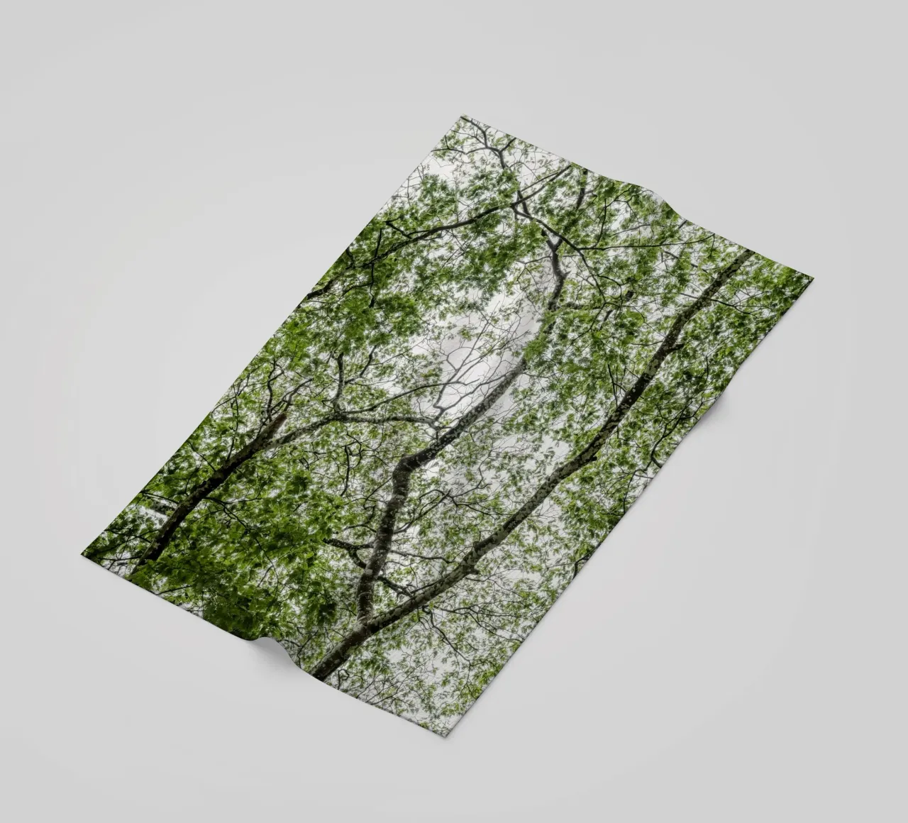 Tree in a forest telo mare da photolovers