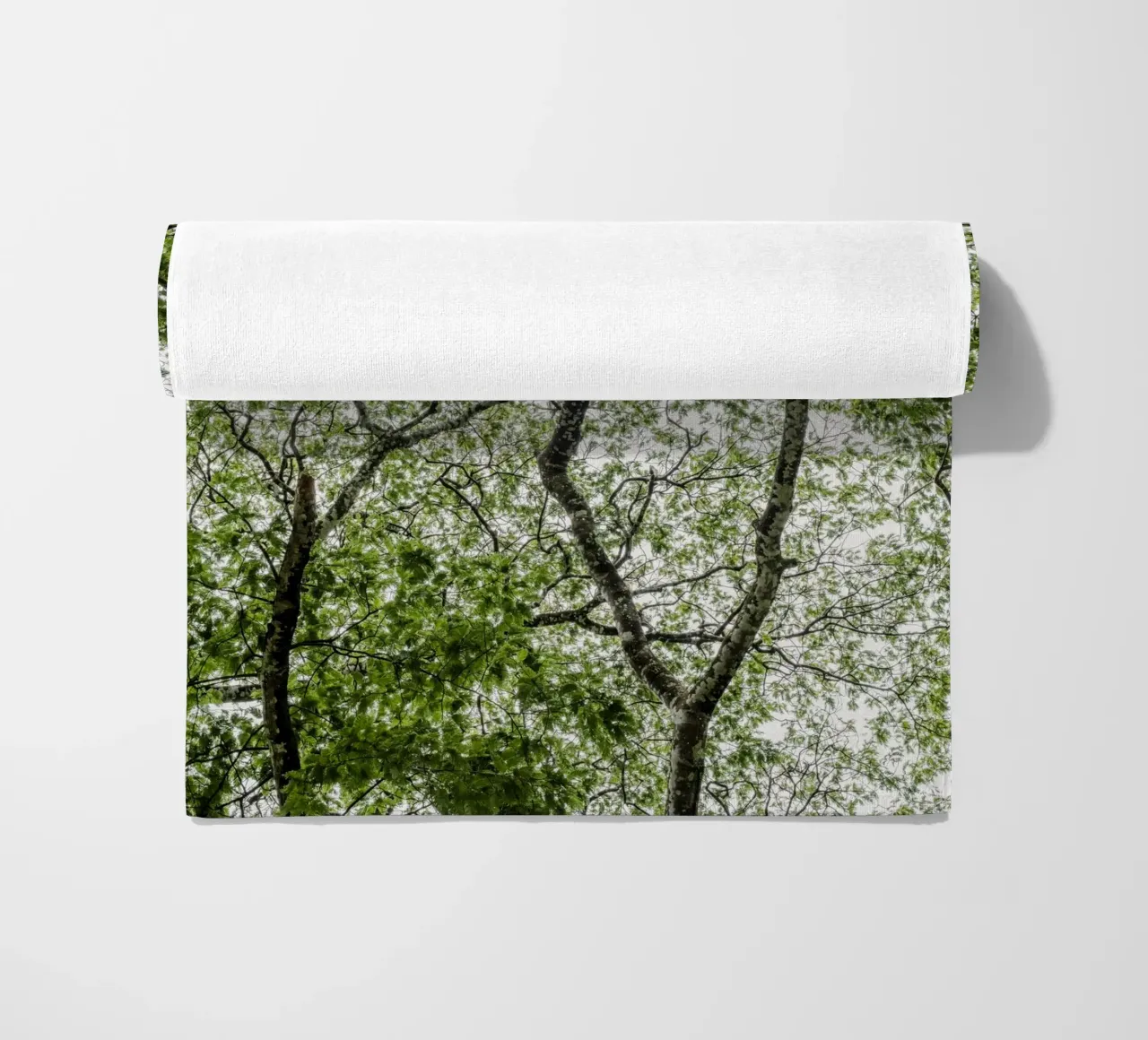 Tree in a forest telo mare da photolovers