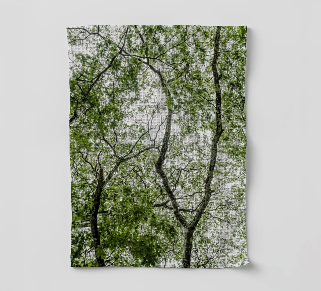 Tree in a forest canovaccio da cucina da photolovers