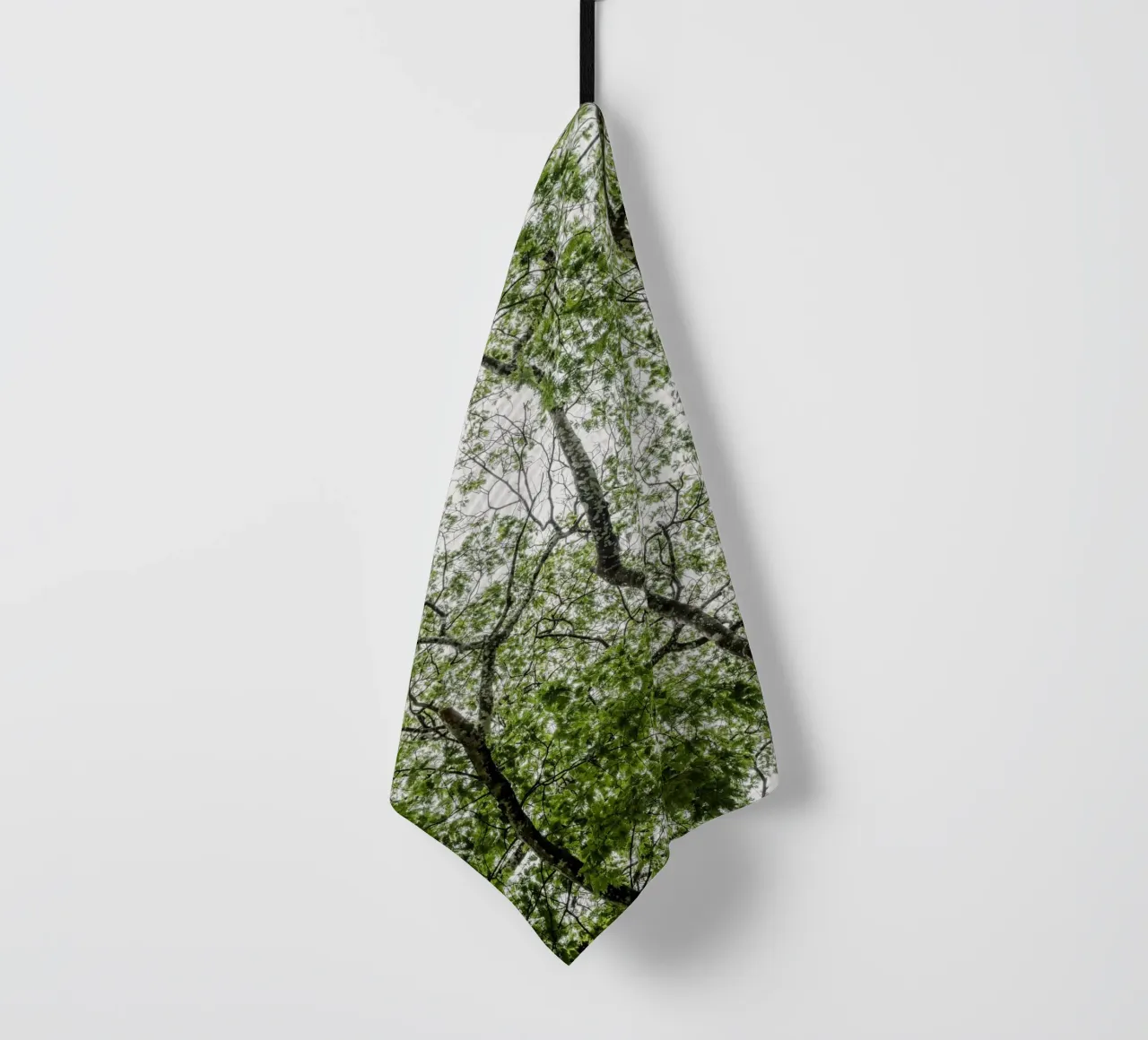 Tree in a forest canovaccio da cucina da photolovers