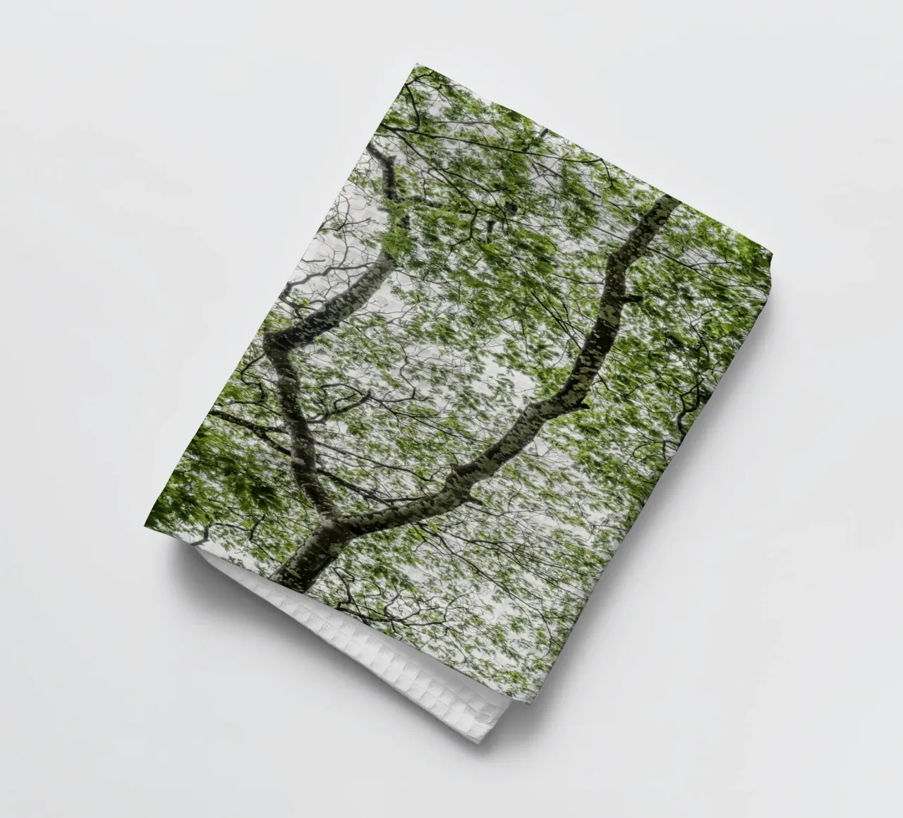Tree in a forest canovaccio da cucina da photolovers