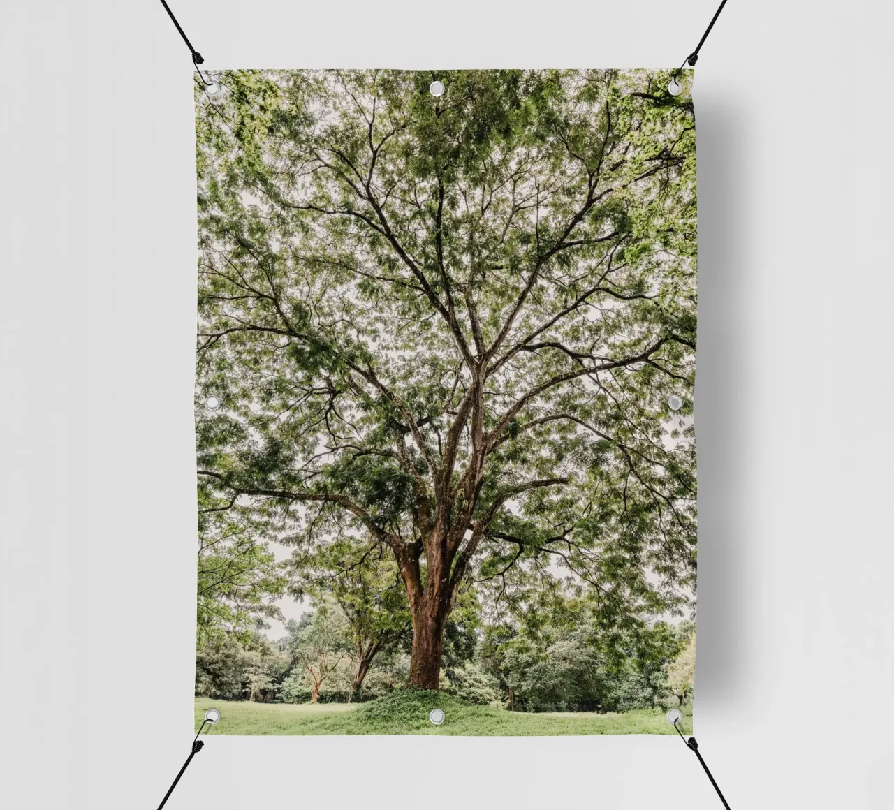 Botanical garden in Uganda telo in pvc da photolovers