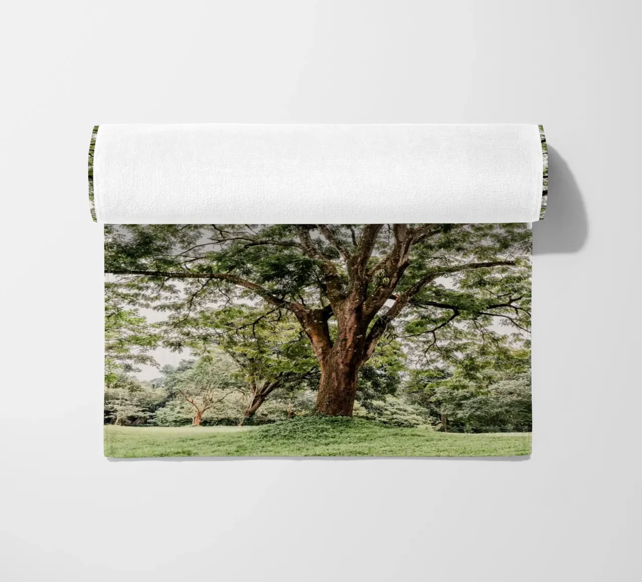 Botanical garden in Uganda telo mare da photolovers